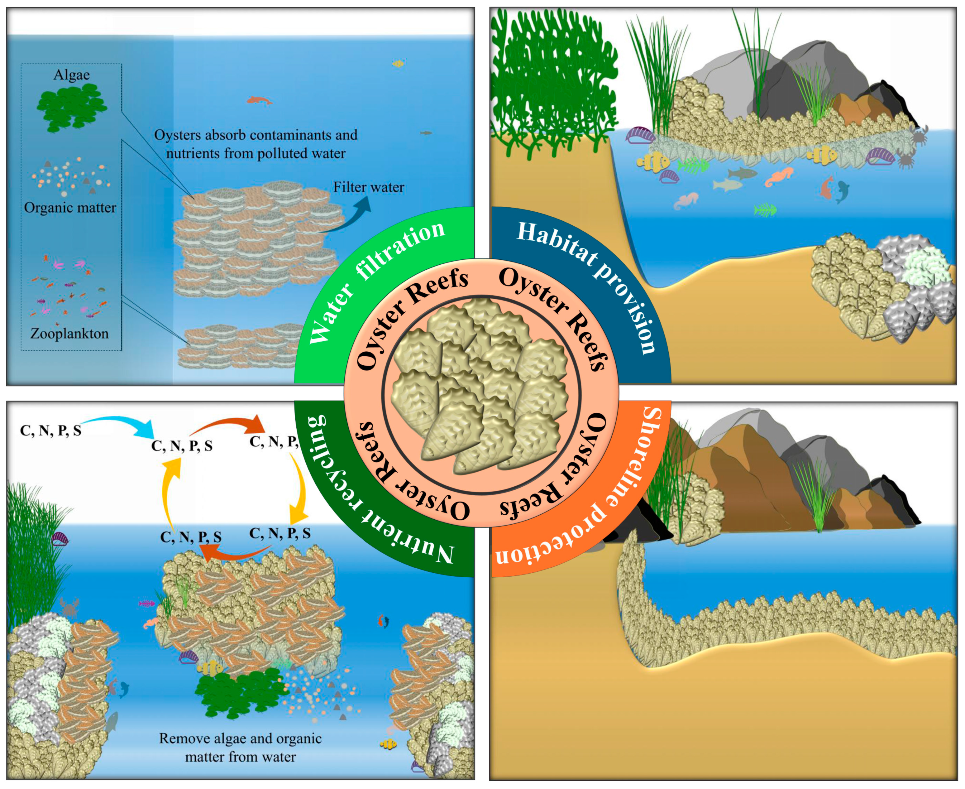 Sustainability 16 09795 g001 Sustainability 16 09795 g001