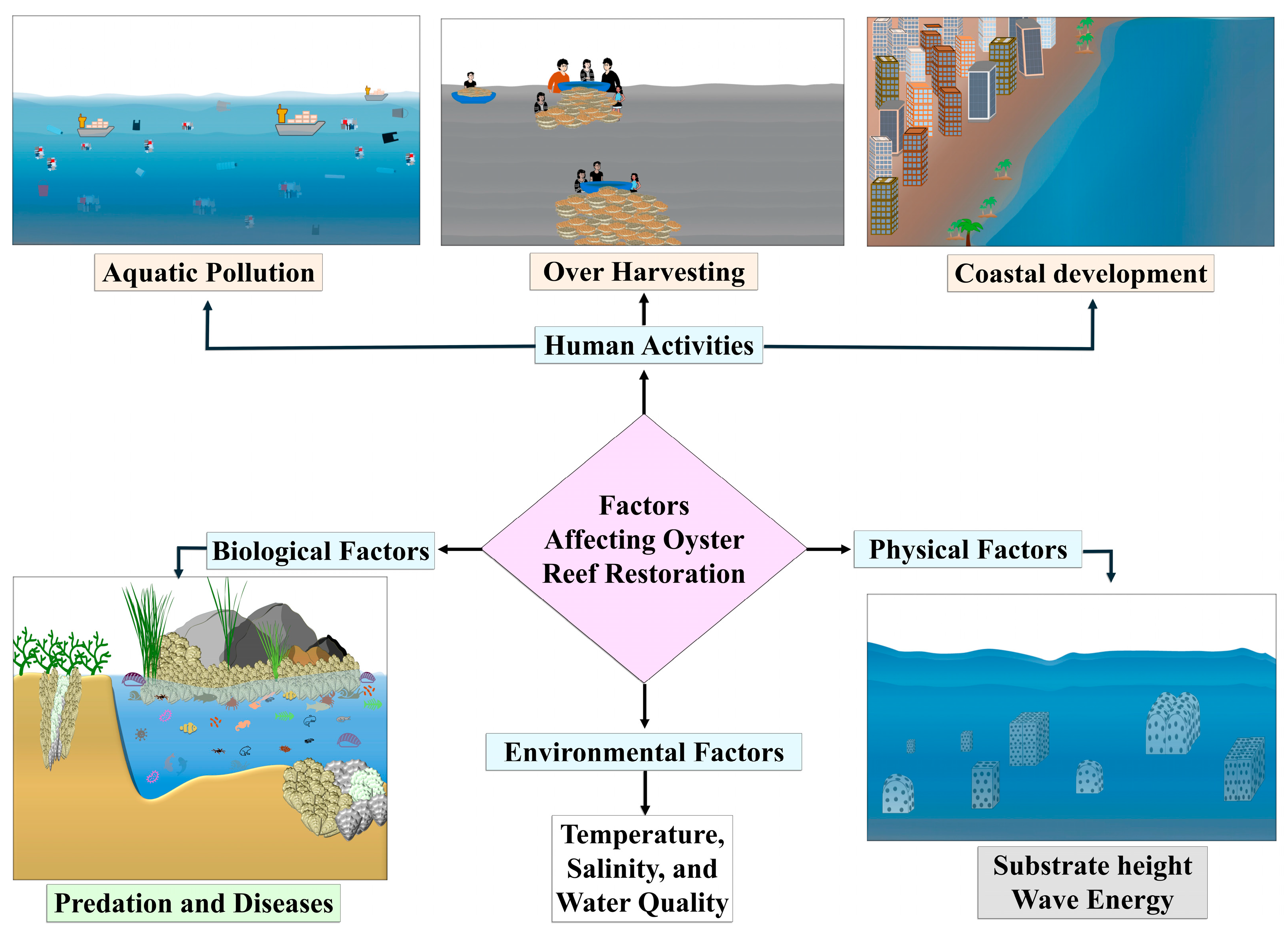 Sustainability 16 09795 g004 Sustainability 16 09795 g004