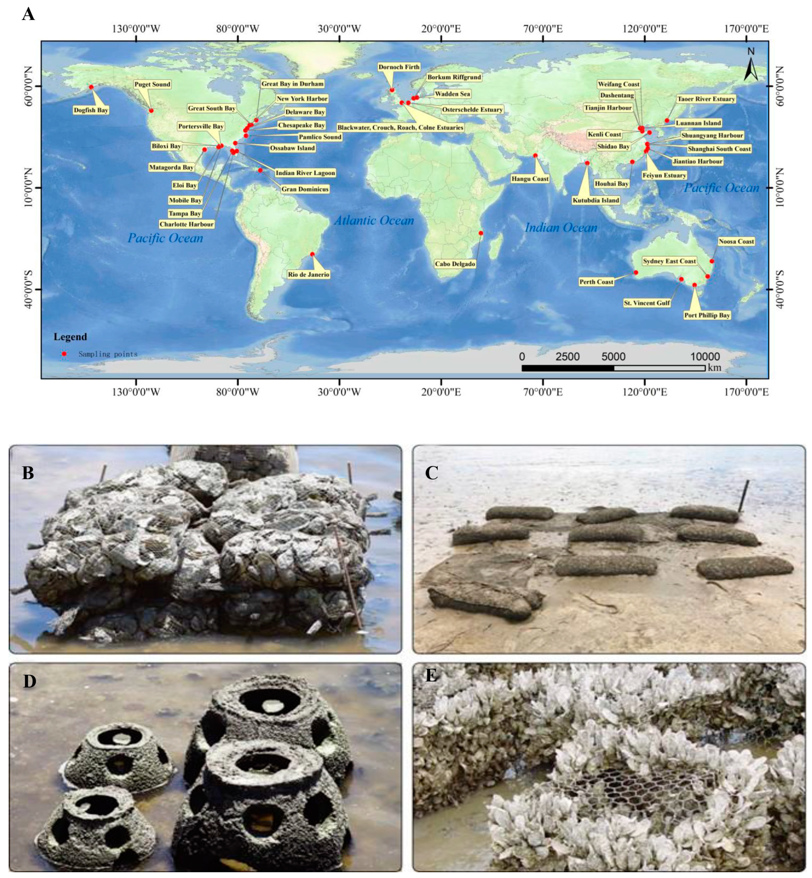 Sustainability 16 09795 g006 Sustainability 16 09795 g006
