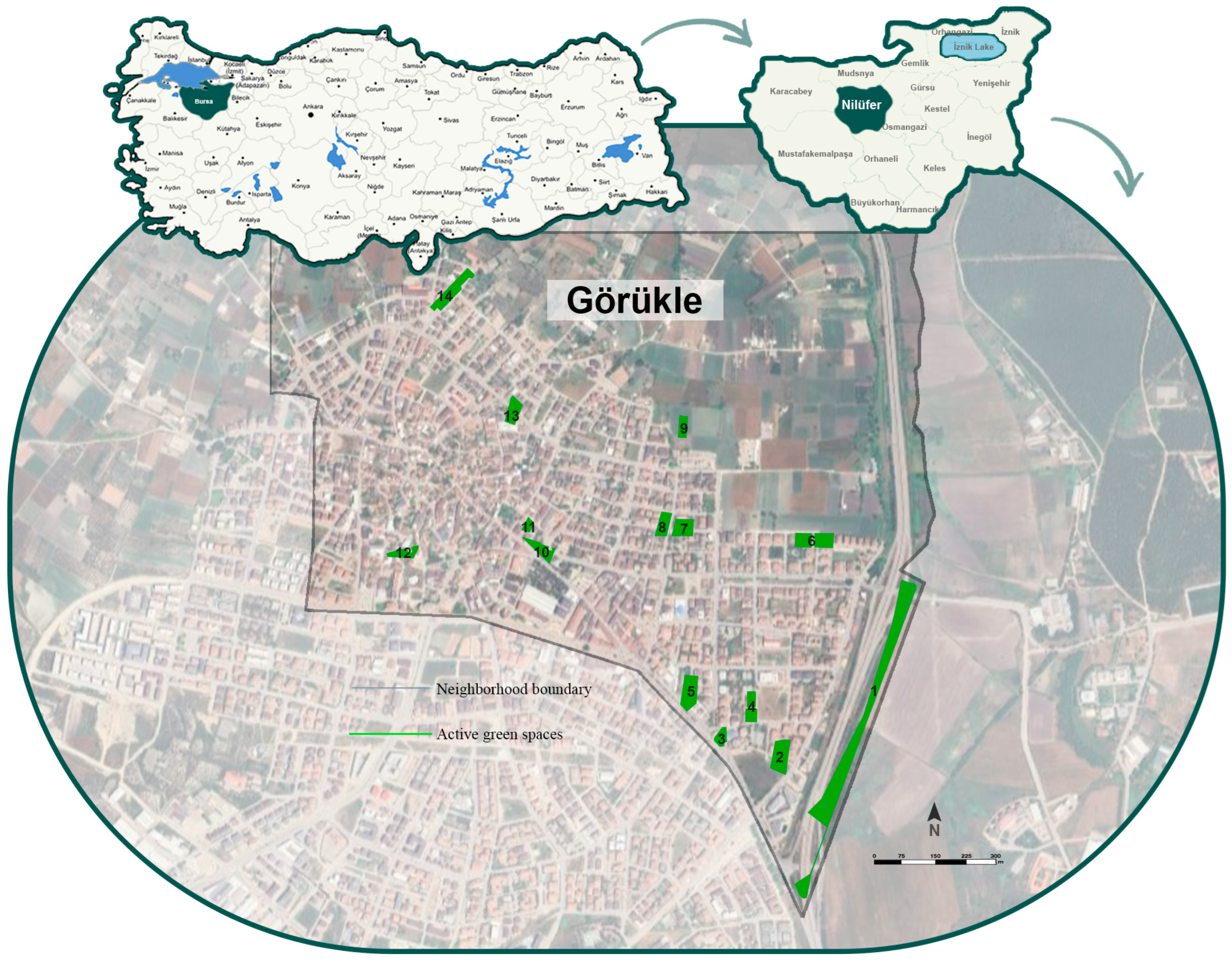 Sustainability 16 09801 g004