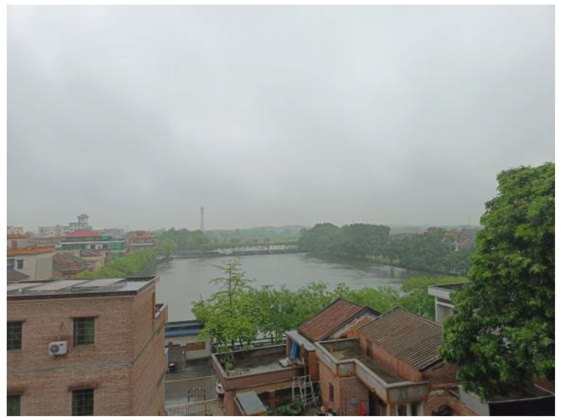 Sustainability 16 09807 g002