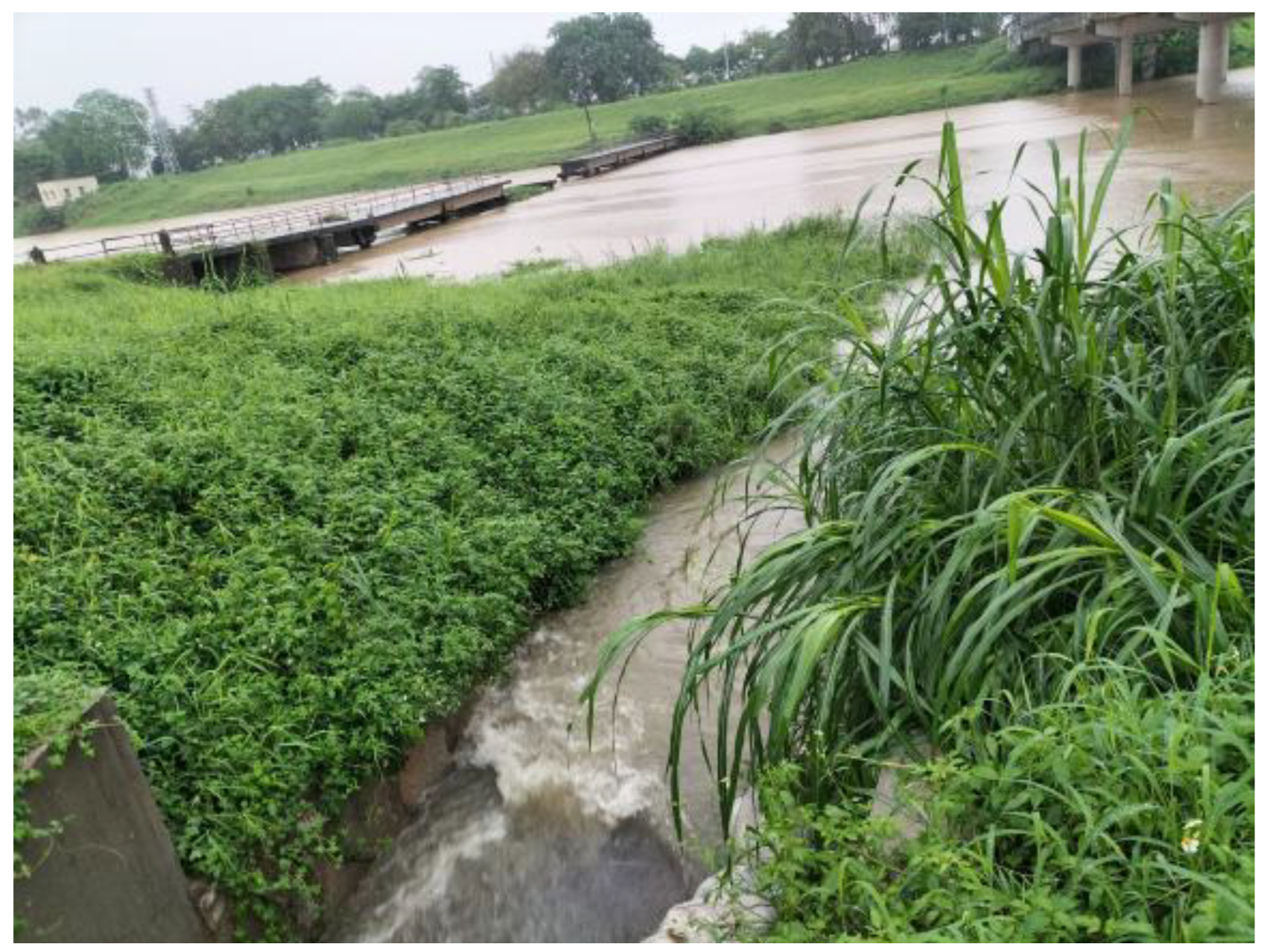 Sustainability 16 09807 g003