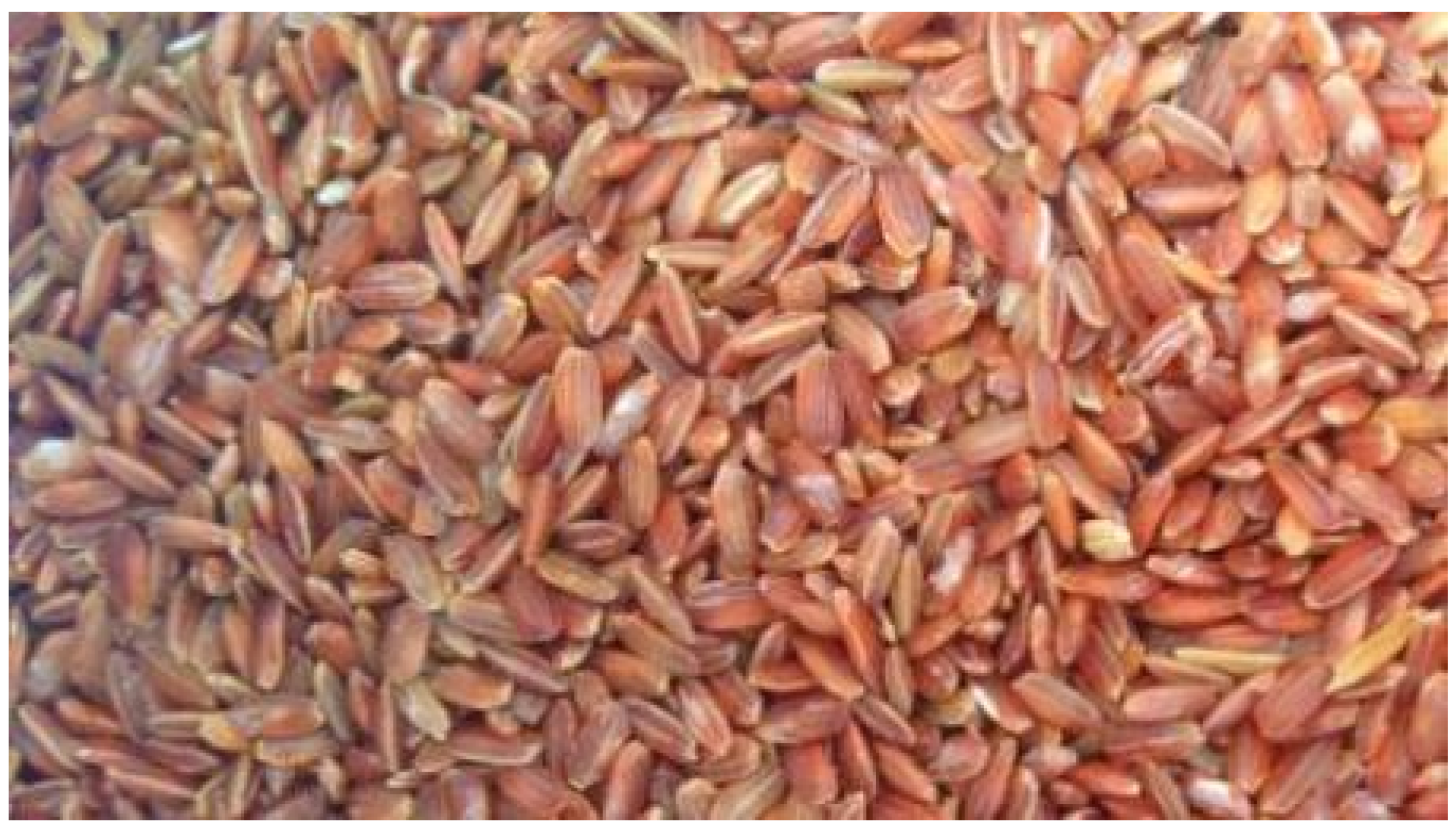 Sustainability 16 09824 g004