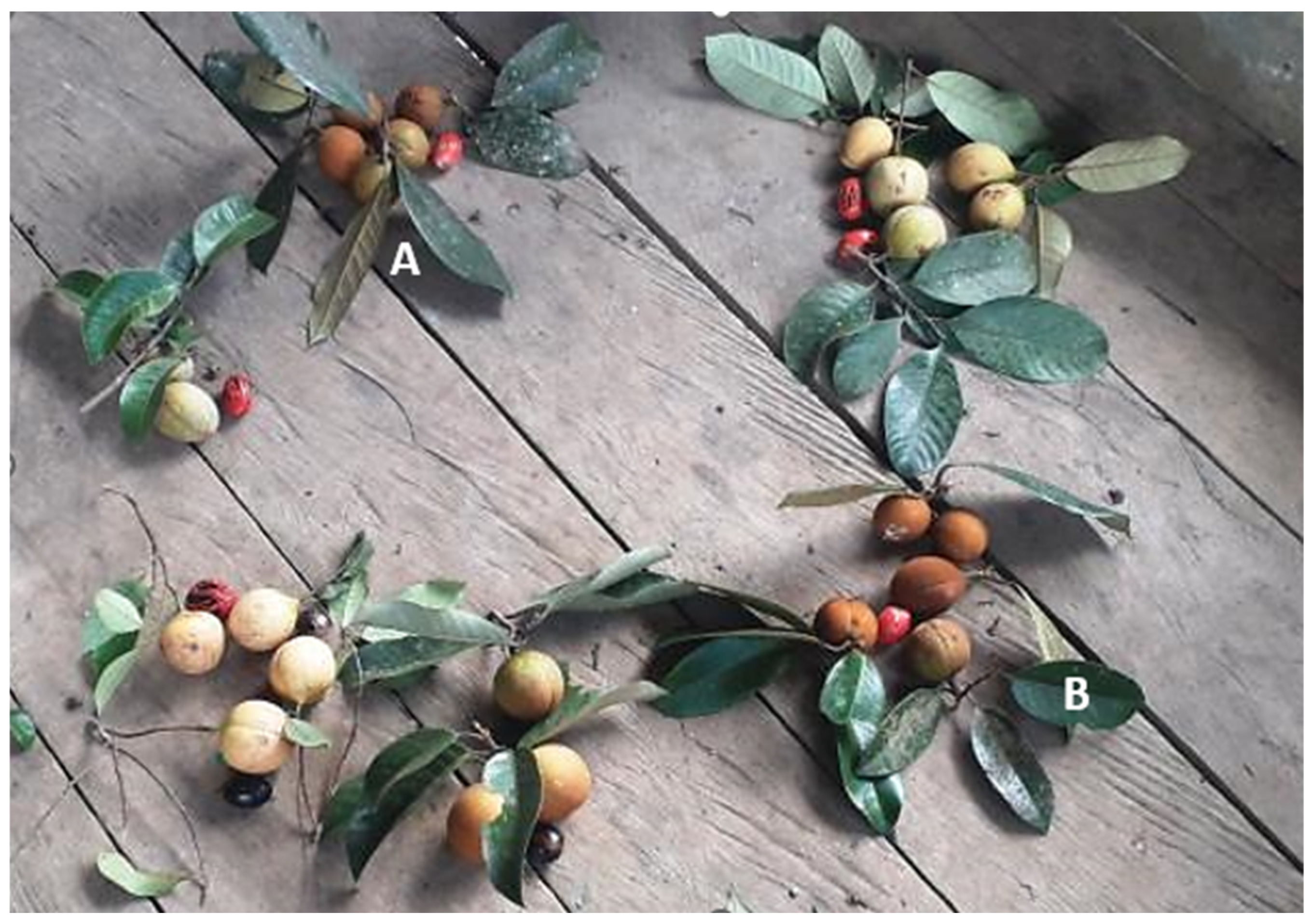 Sustainability 16 09824 g009