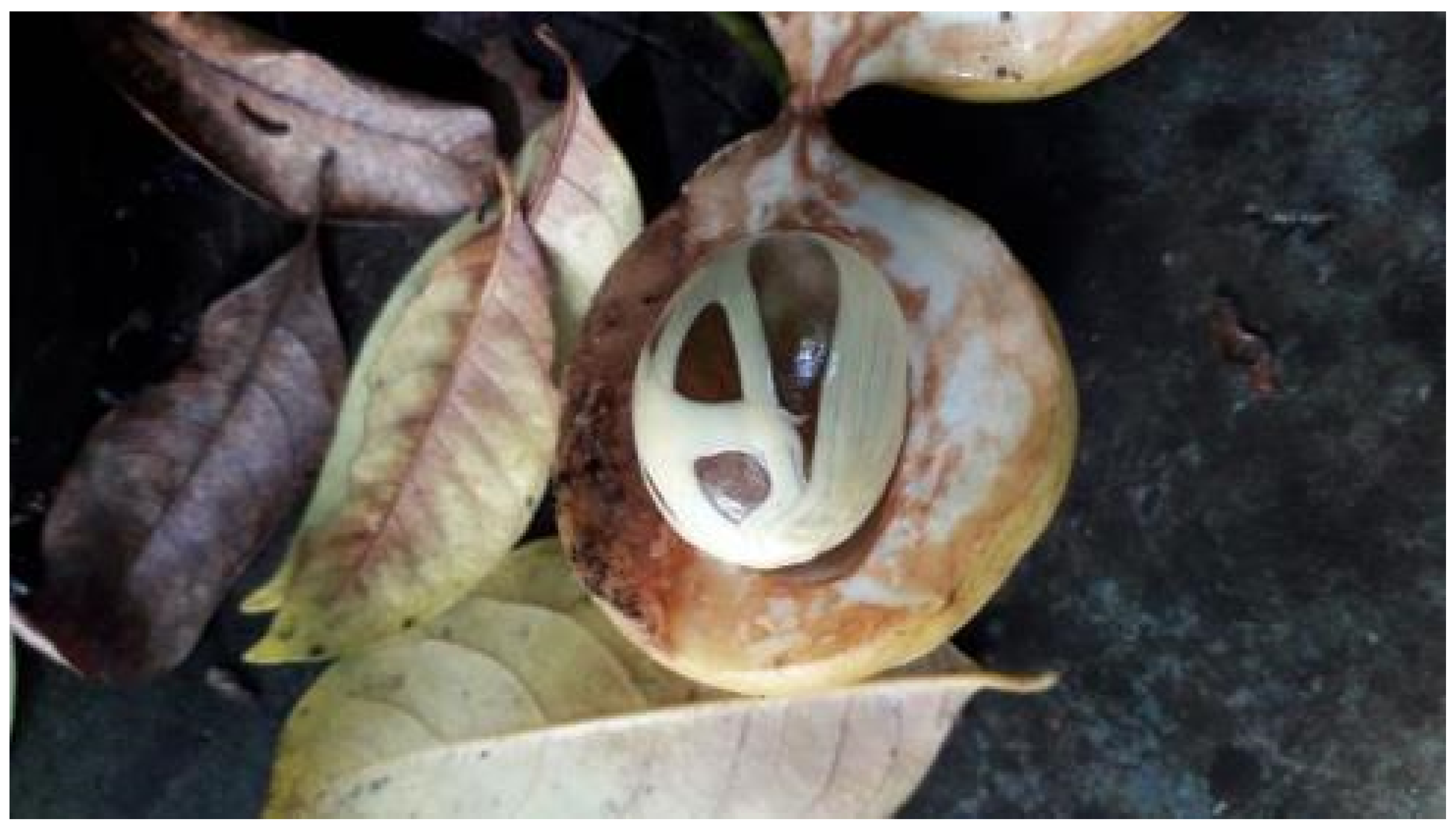 Sustainability 16 09824 g010