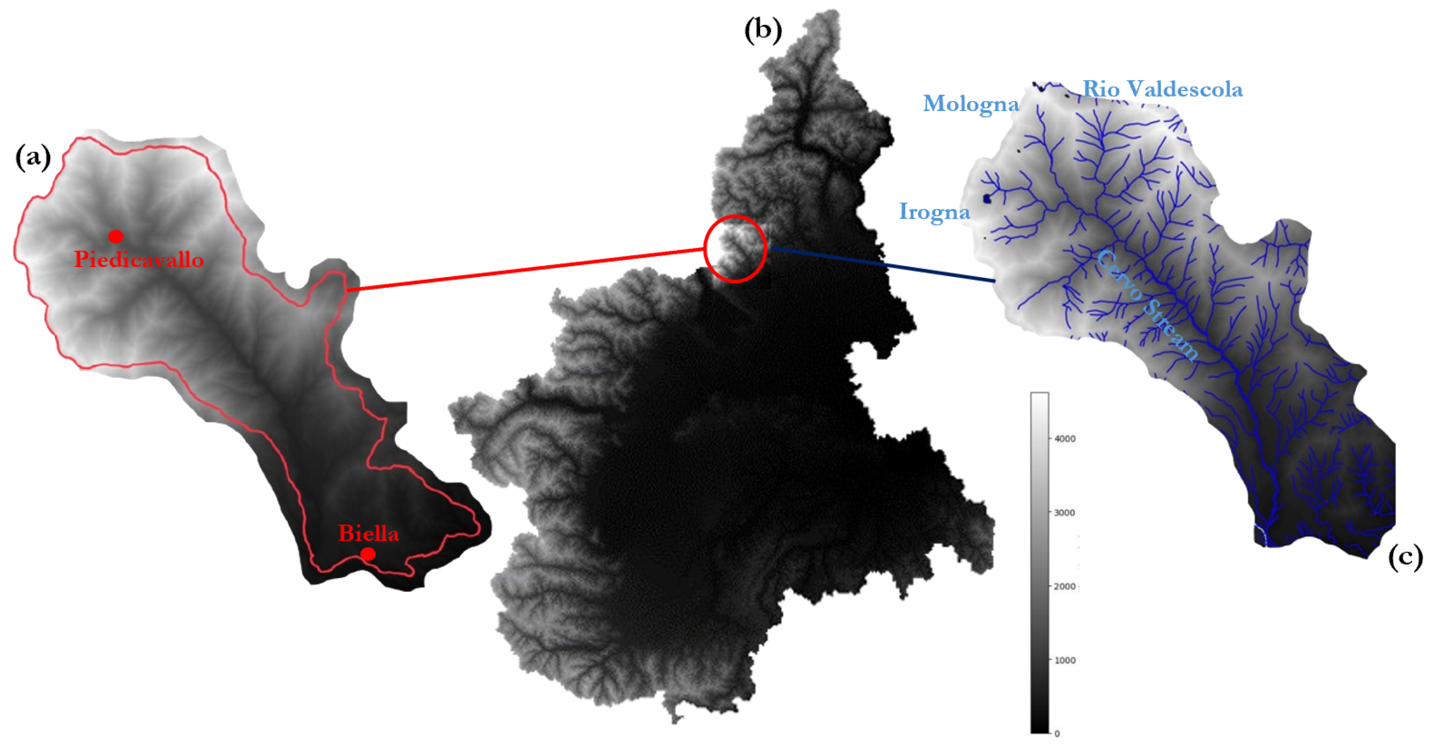 Sustainability 16 09833 g001