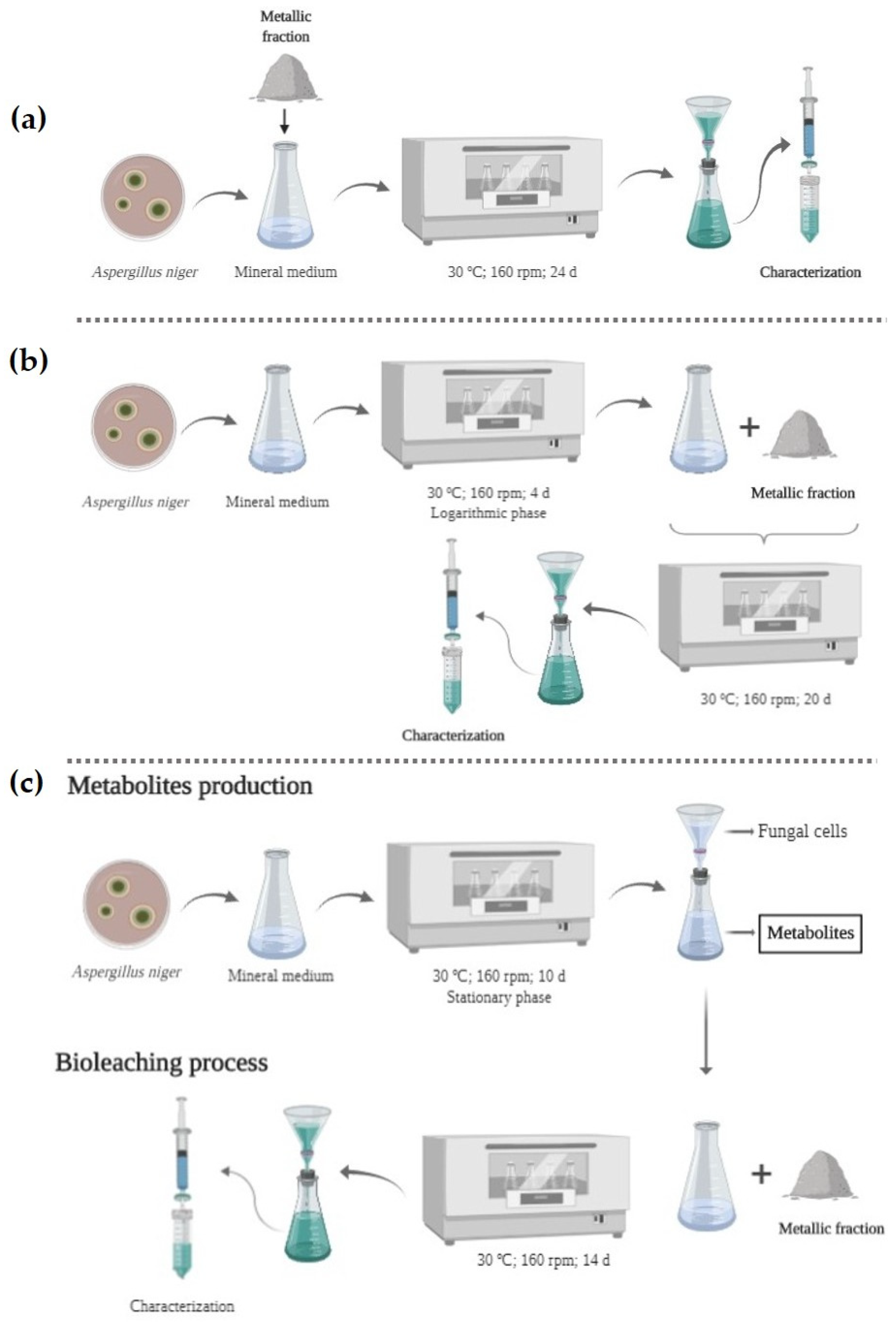 Sustainability 16 09837 g001