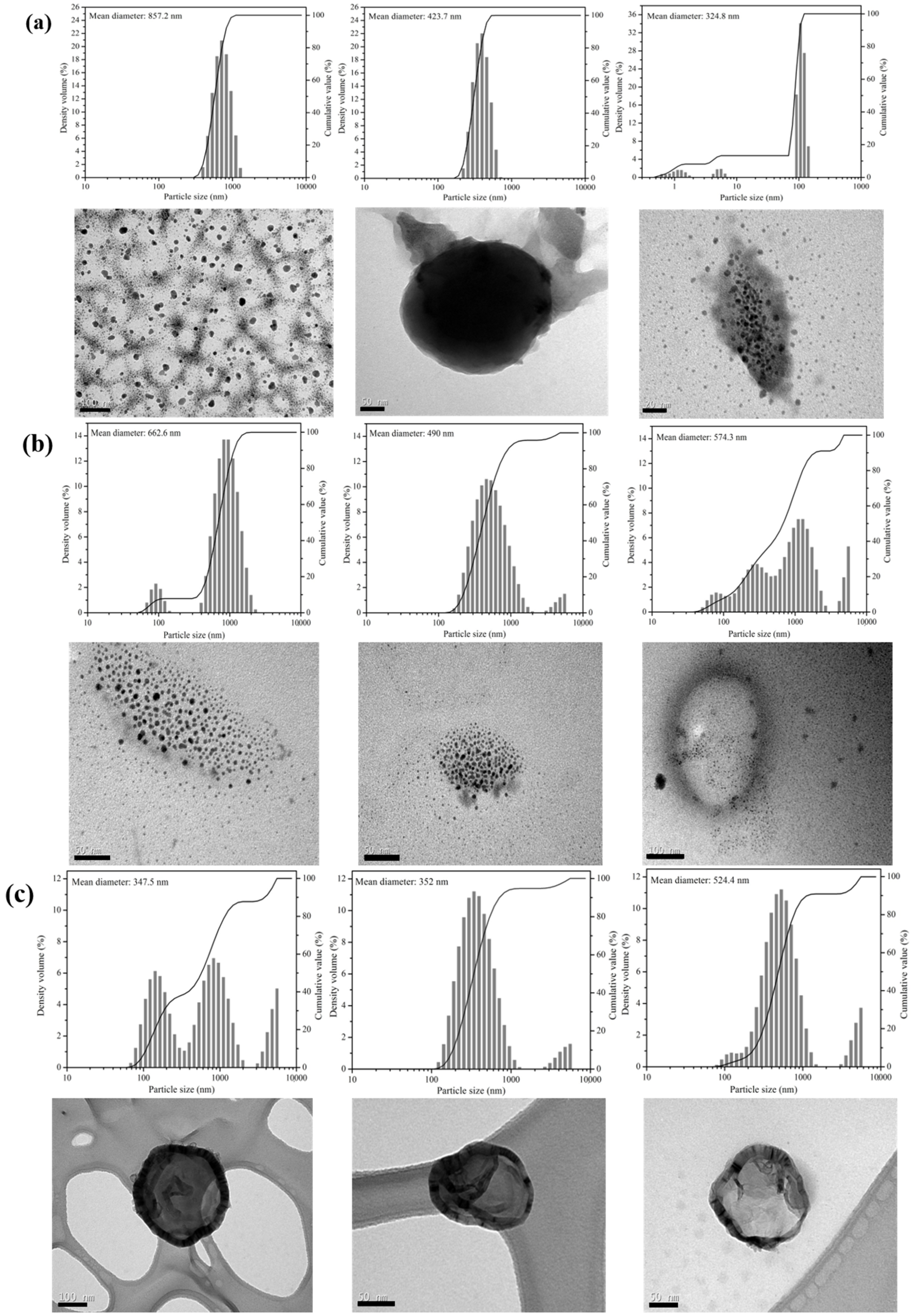Sustainability 16 09837 g005