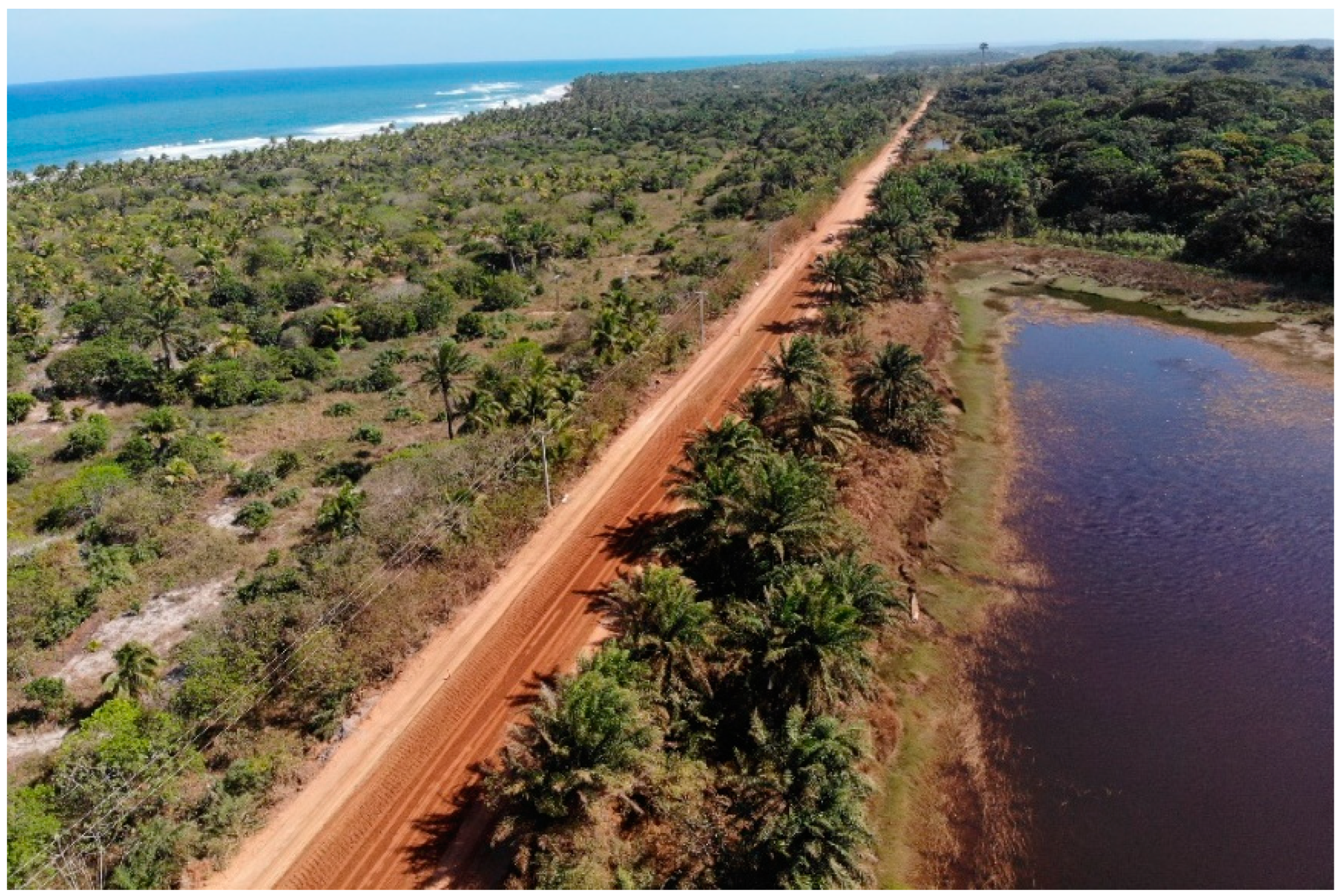 Sustainability 16 09850 g001 Sustainability 16 09850 g001