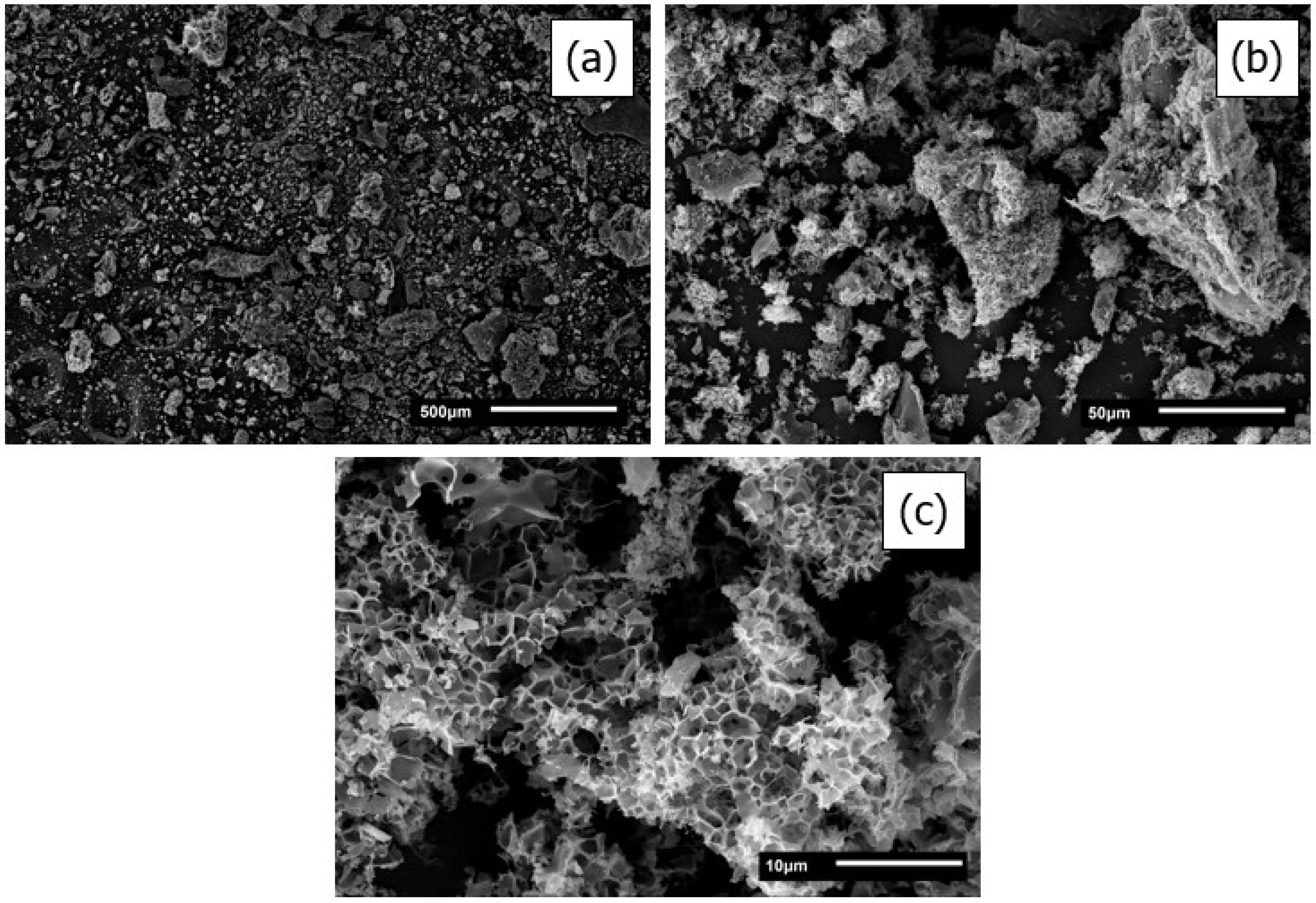 Sustainability 16 09854 g001