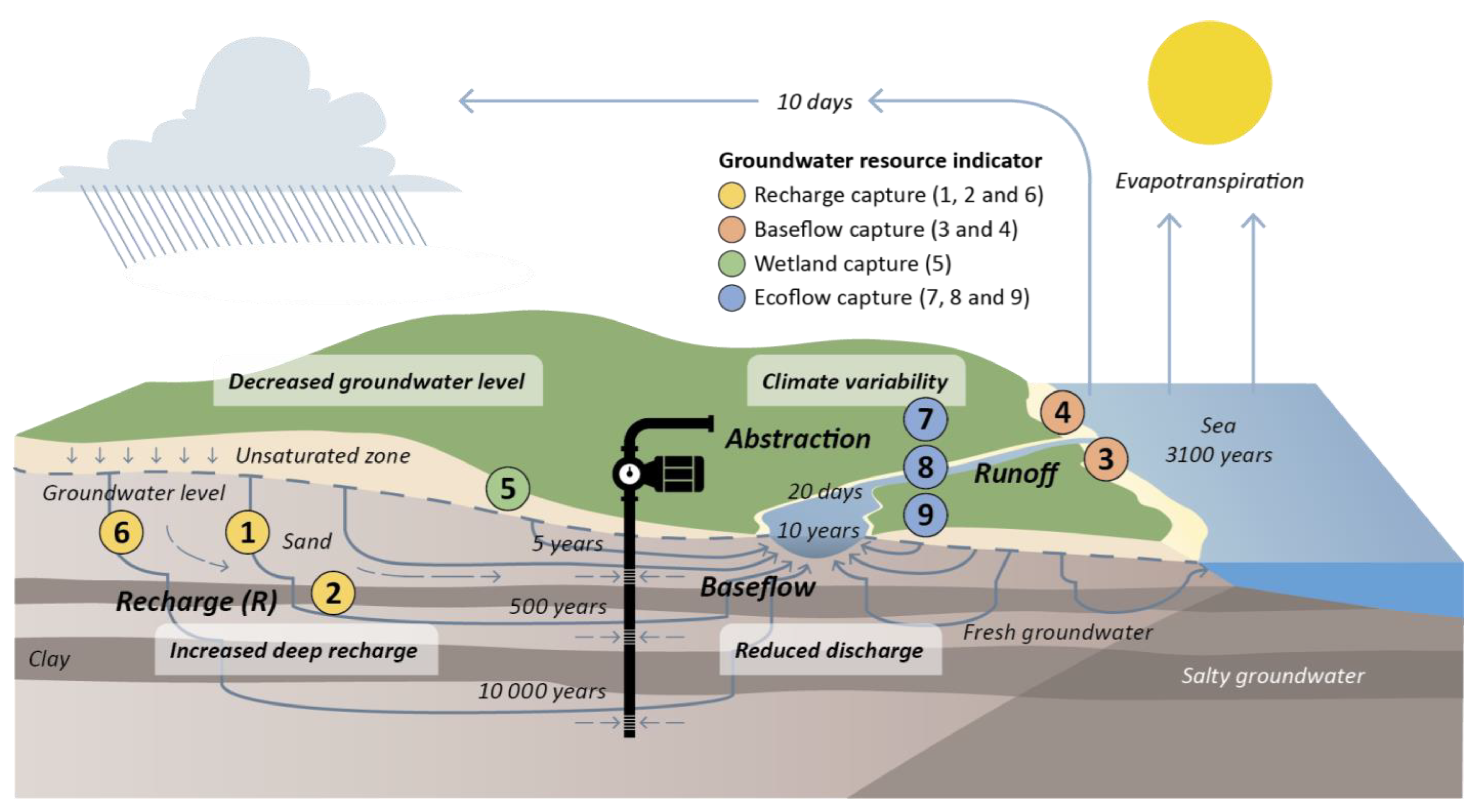 Sustainability 16 09861 g002