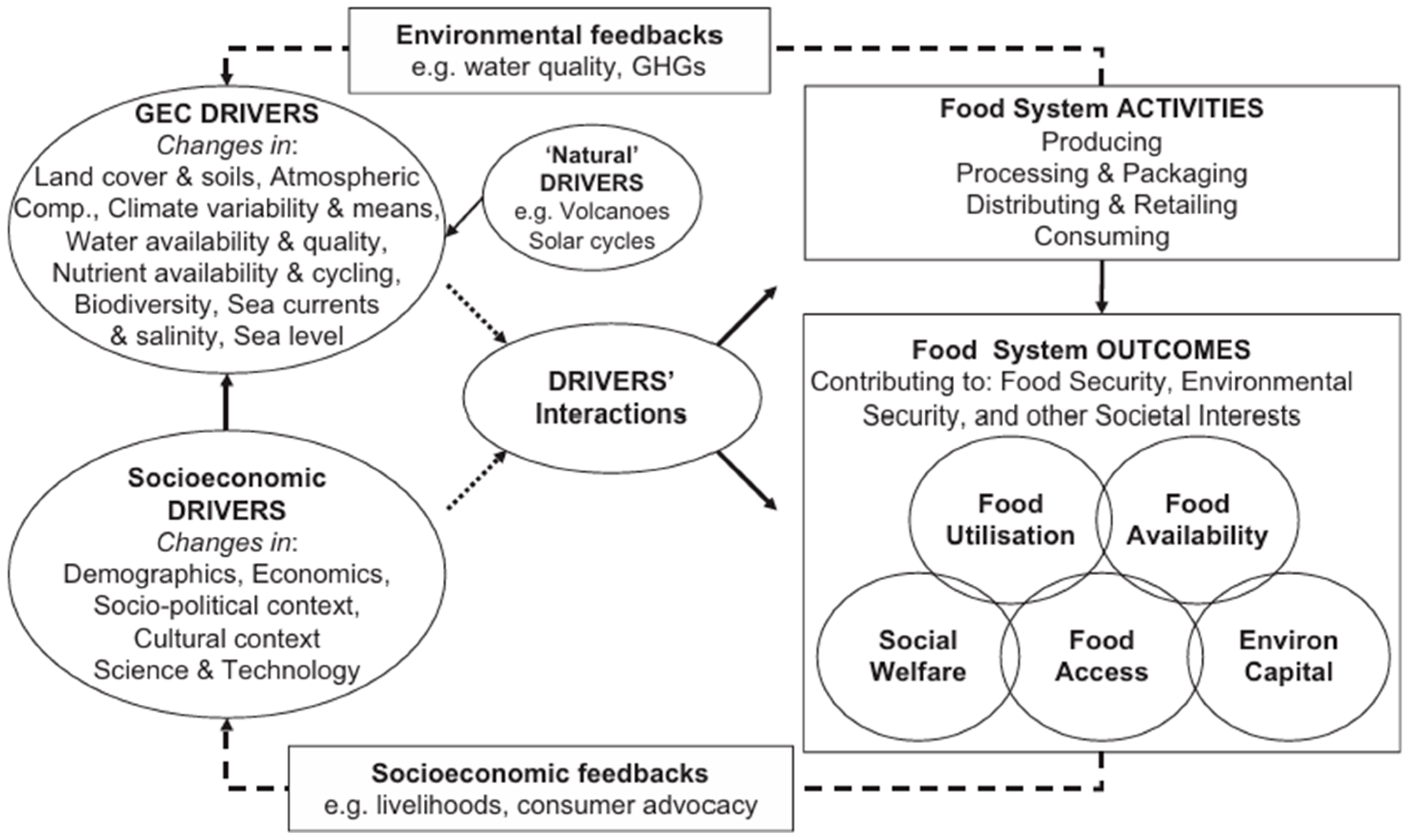 Sustainability 16 09862 g001