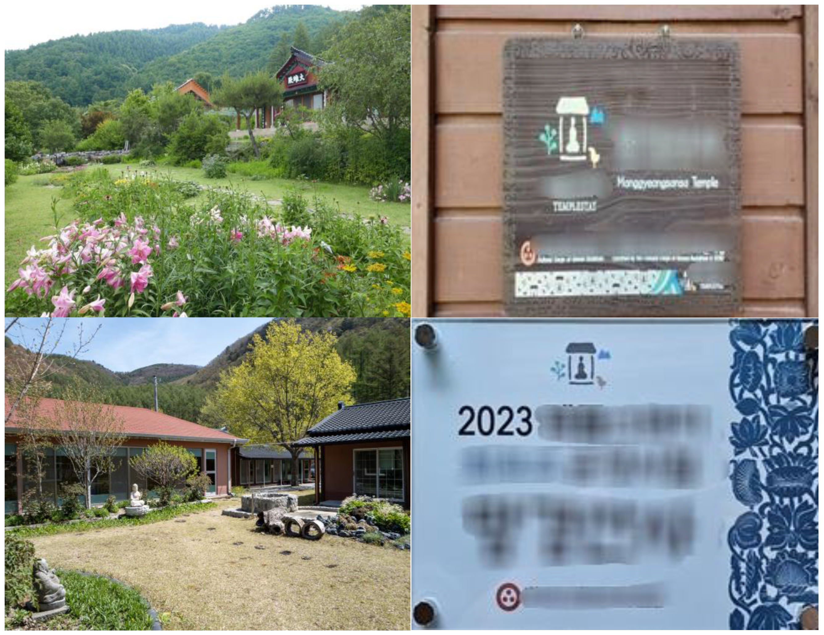 Sustainability 16 09905 g003