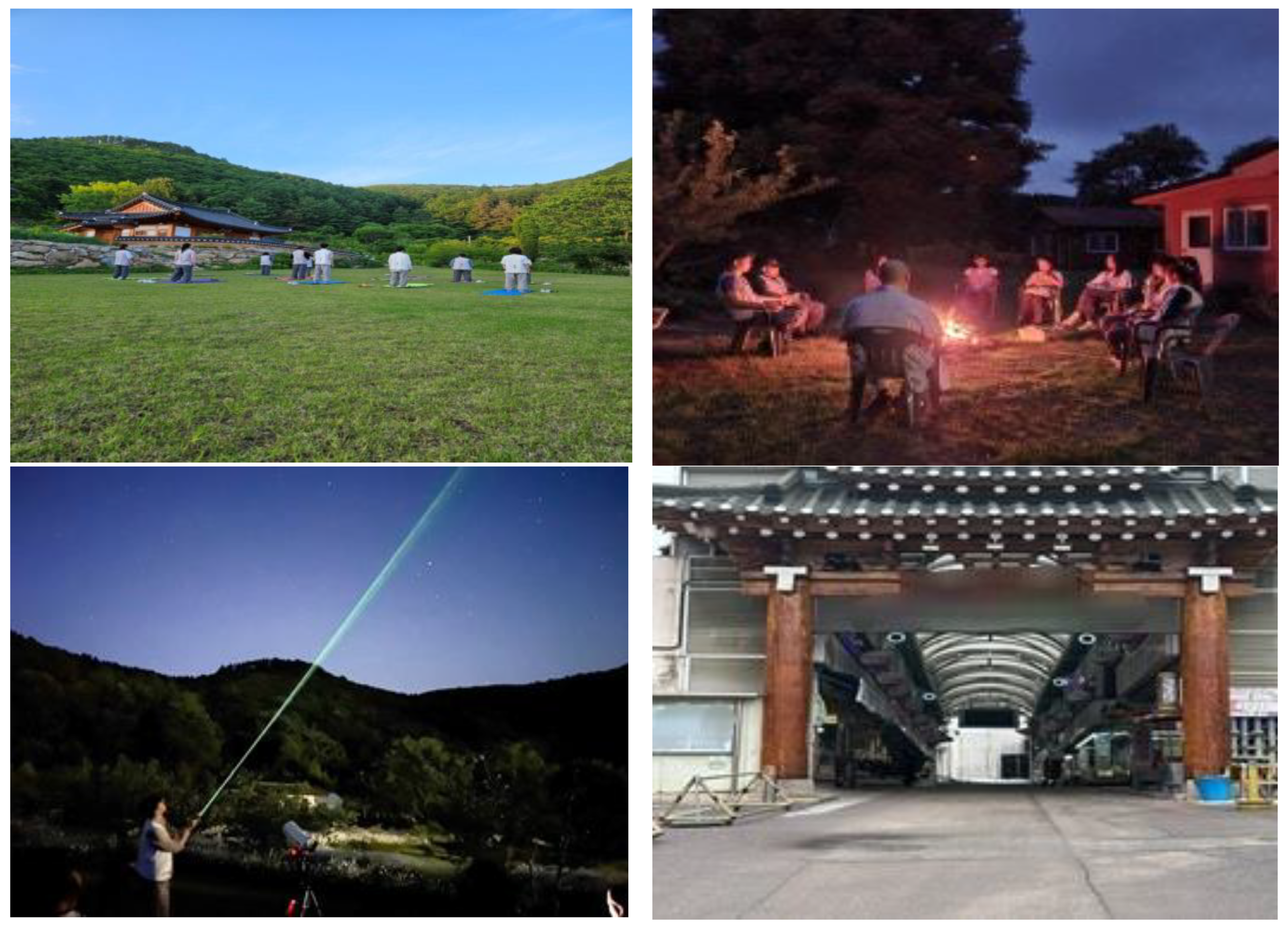 Sustainability 16 09905 g005