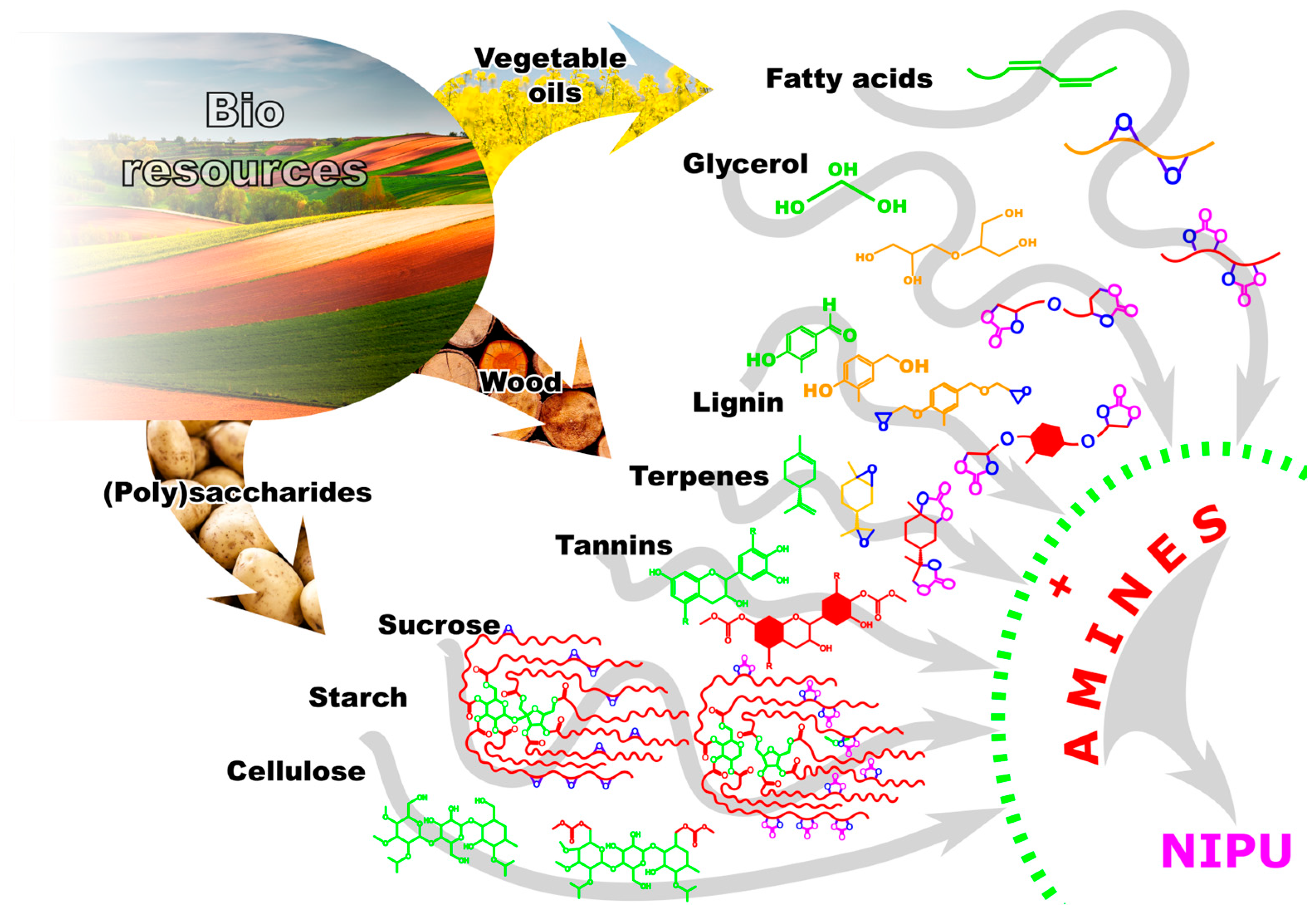 Sustainability 16 09911 g005