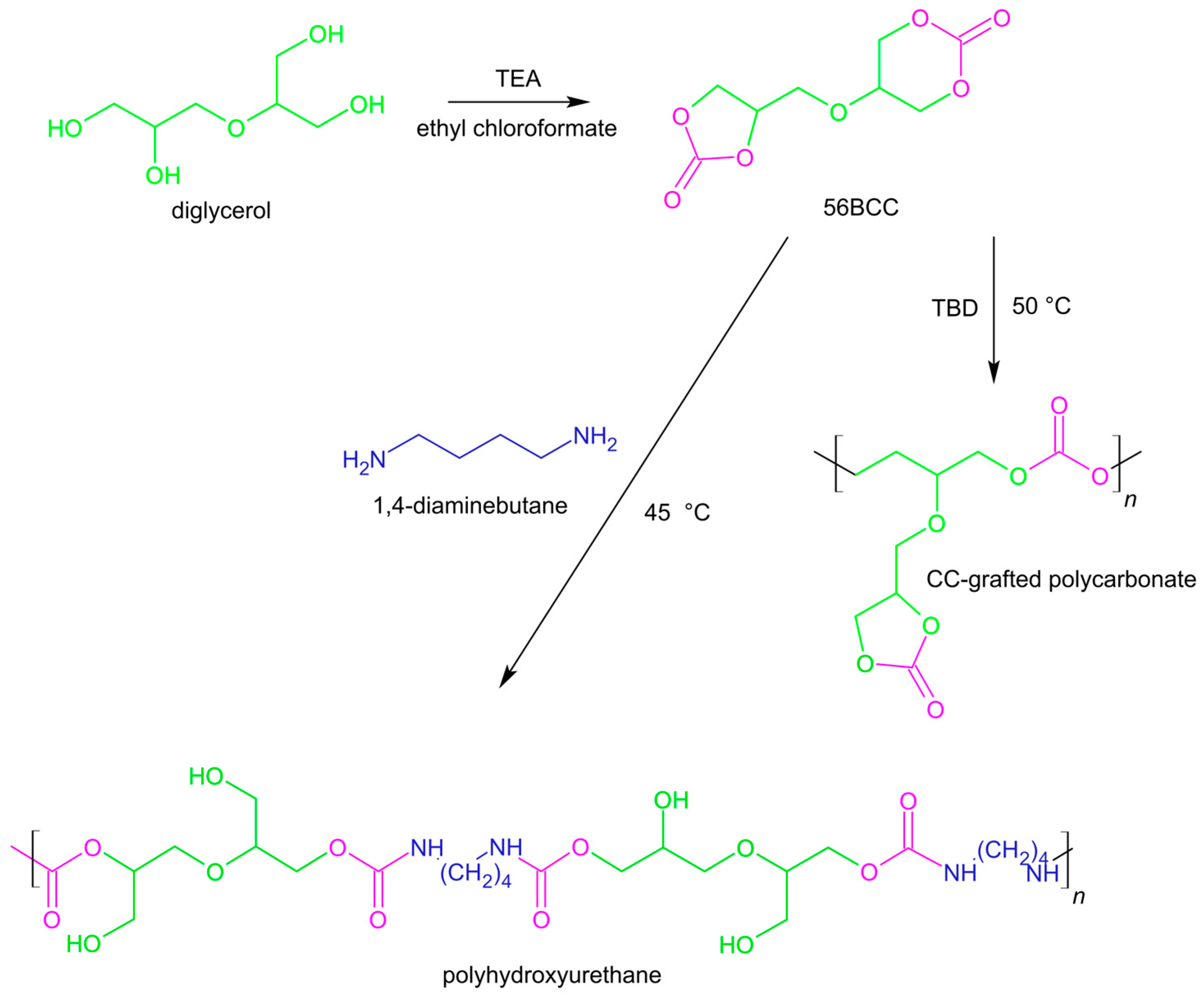 Sustainability 16 09911 g012