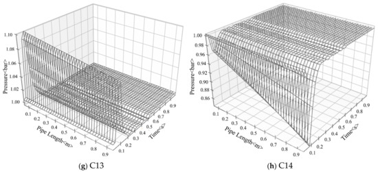 Numerical Investigation of Network-Based Shock Wave