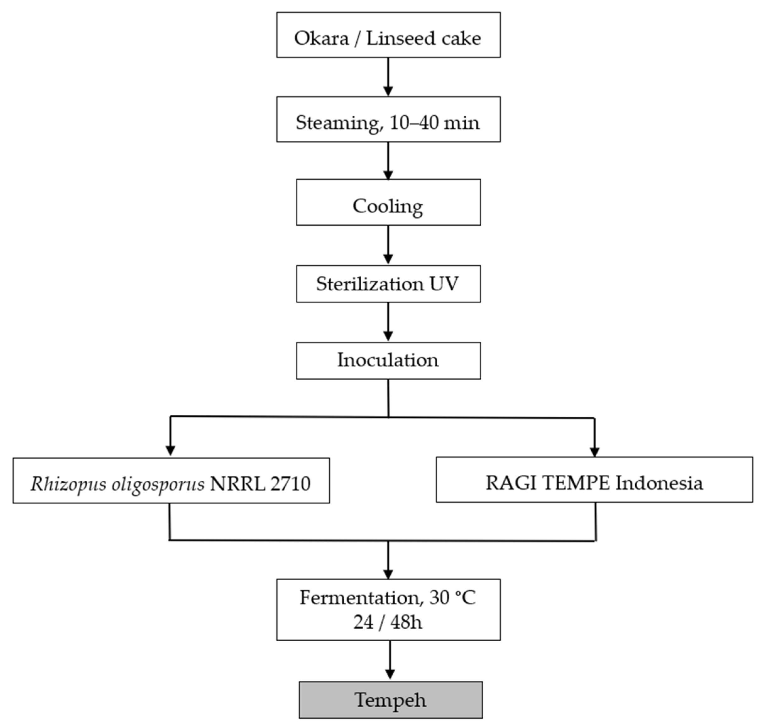 Sustainability 16 09936 g001
