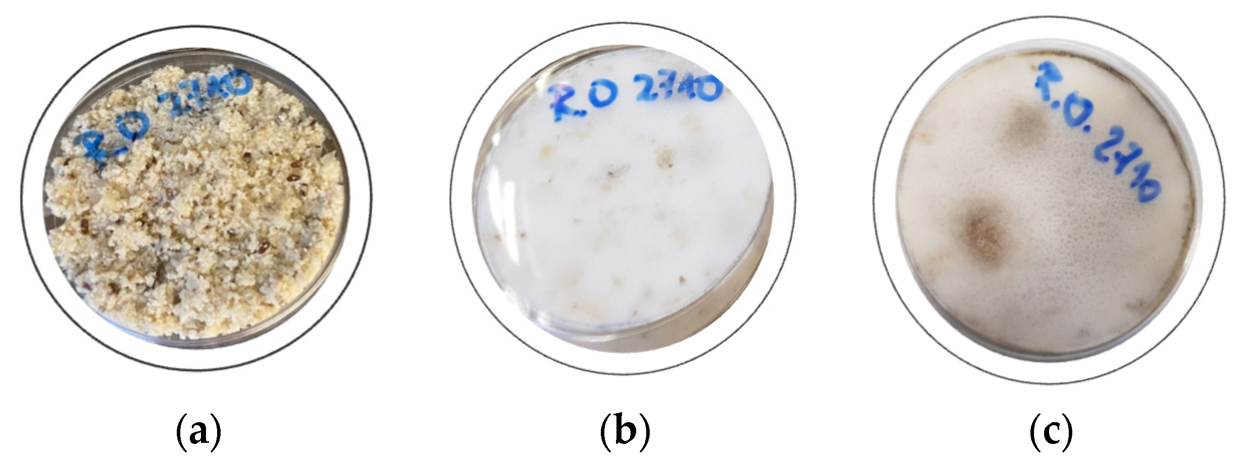 Sustainability 16 09936 g002