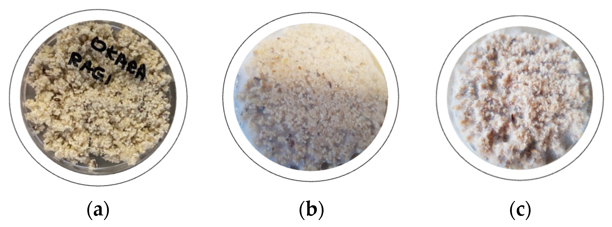 Sustainability 16 09936 g003