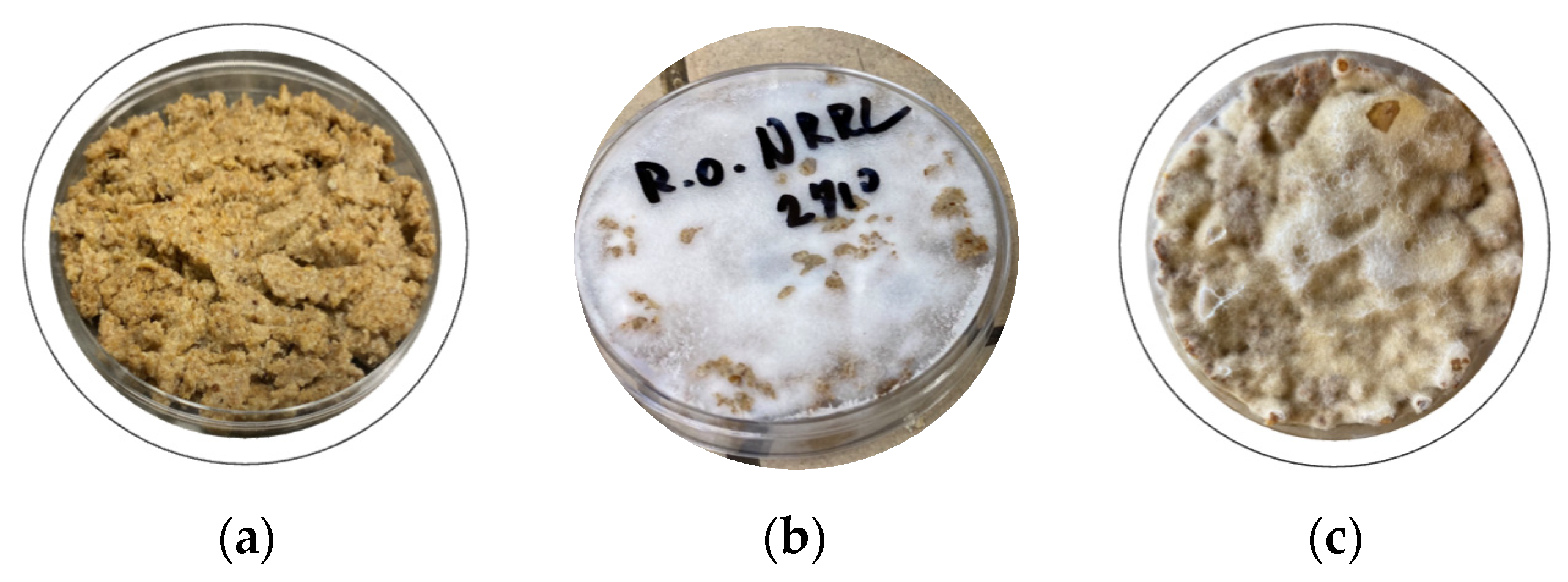 Sustainability 16 09936 g004