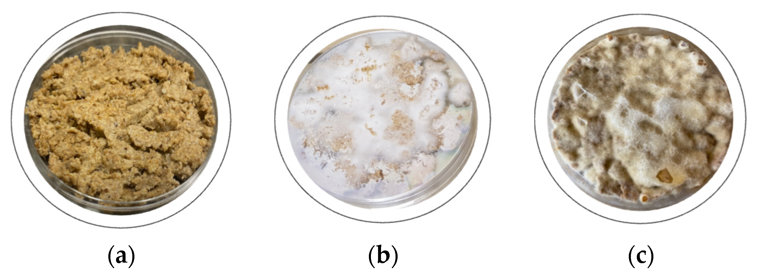 Sustainability 16 09936 g005