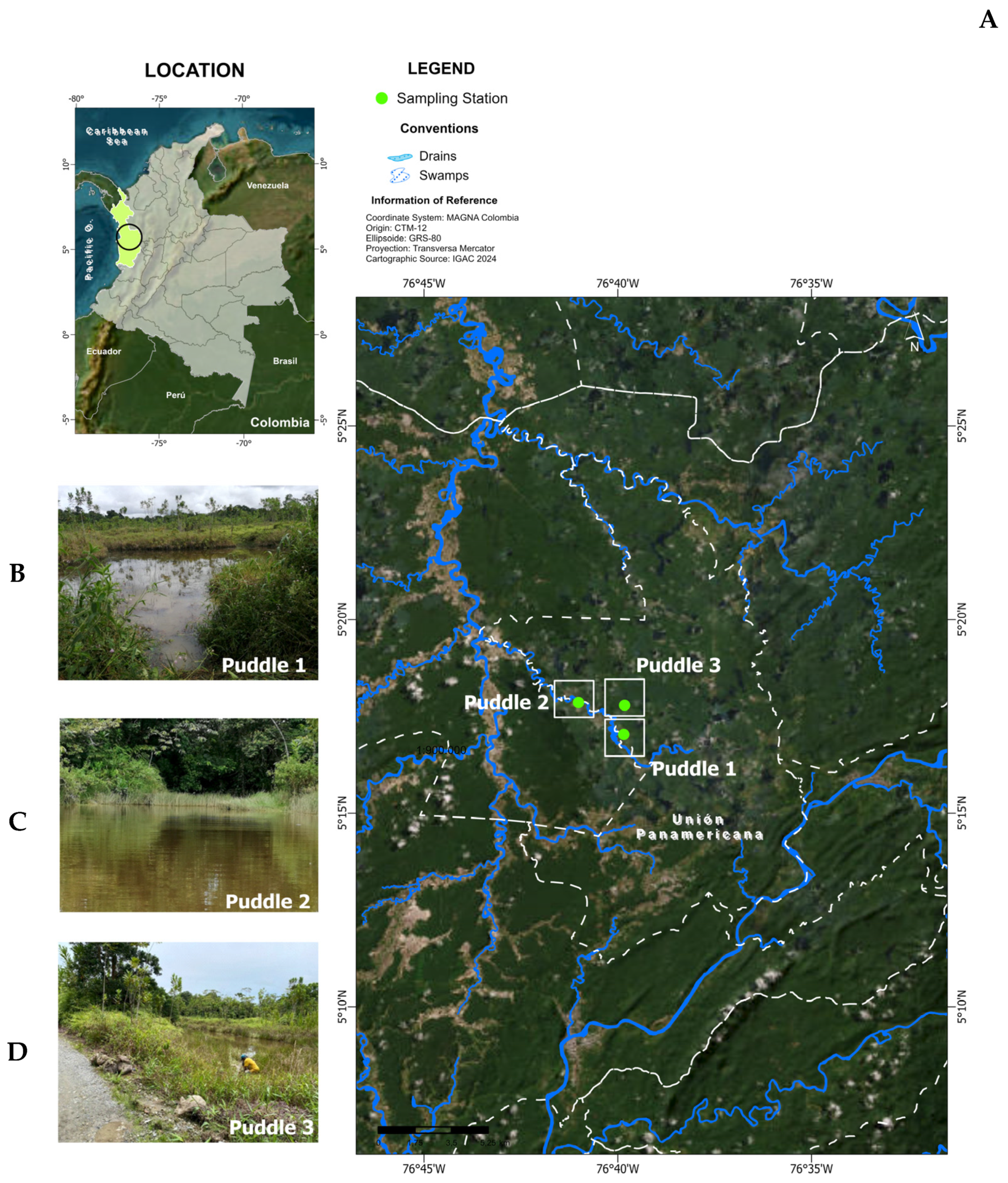 Sustainability 16 09940 g001