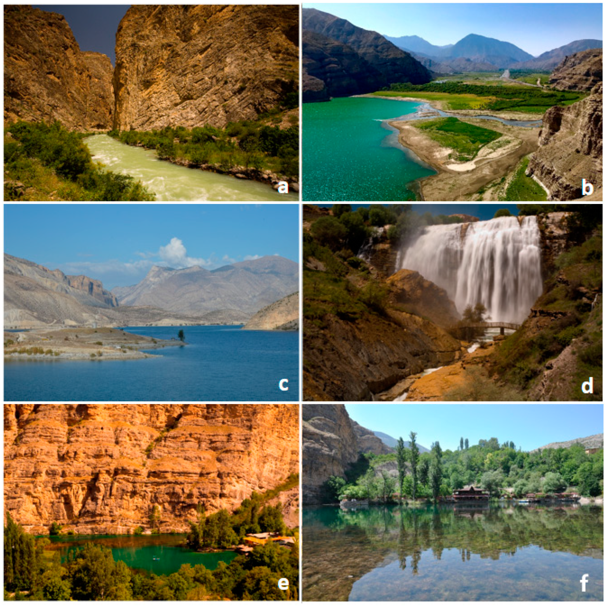 Sustainability 16 09964 g002