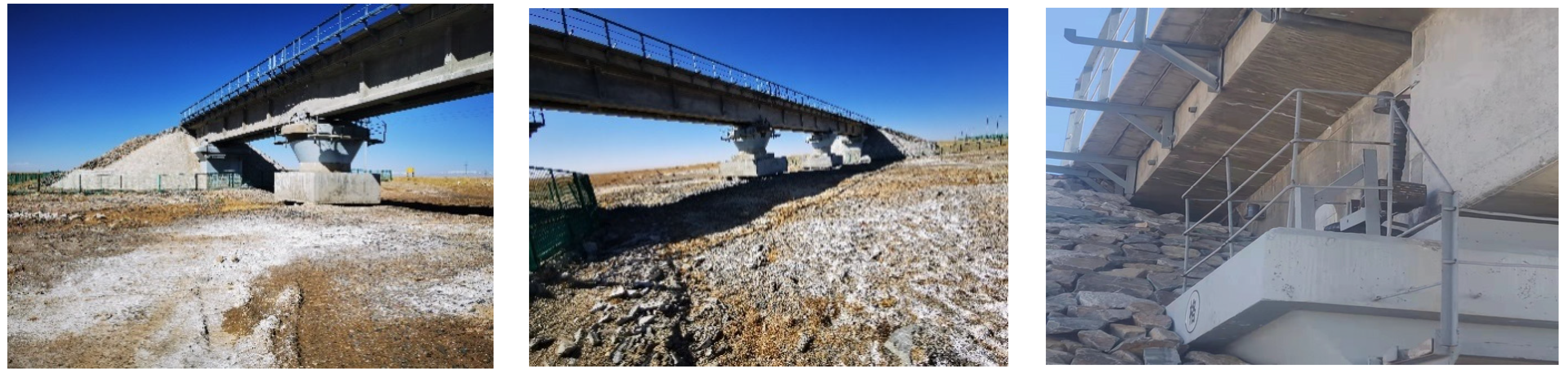 Sustainability 16 09972 g001