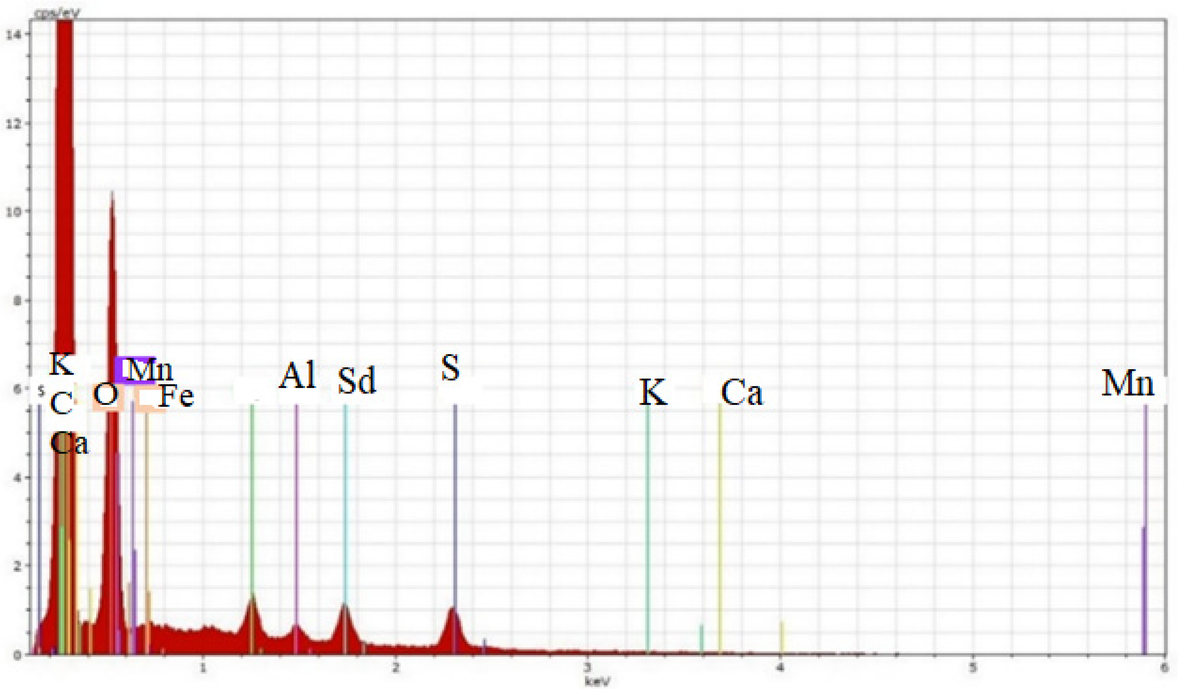 Sustainability 16 09974 g004
