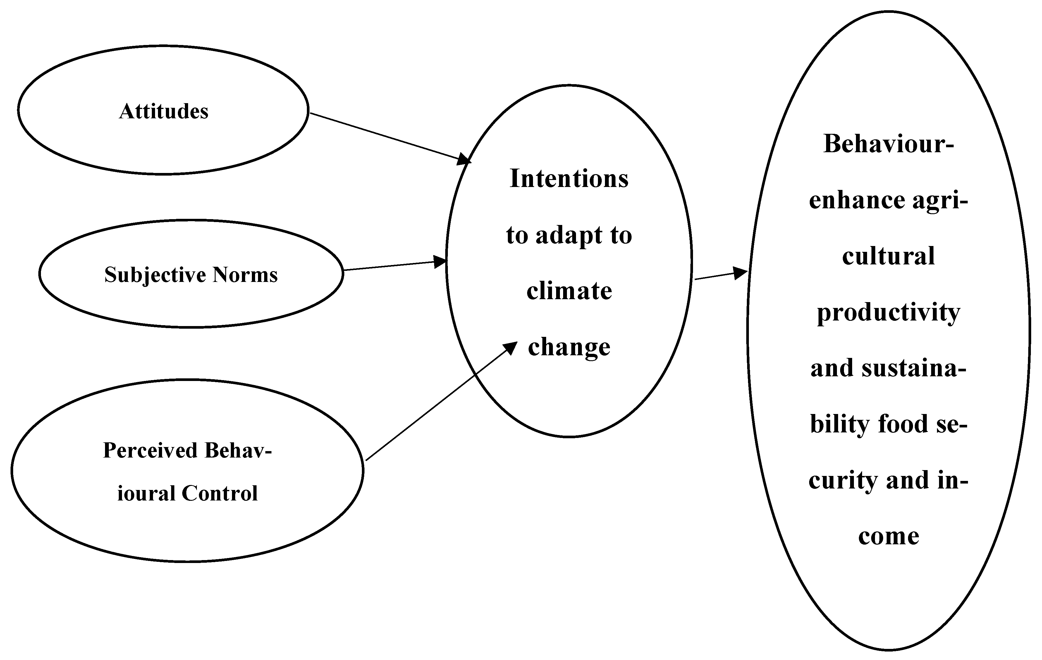 Sustainability 16 09986 g001