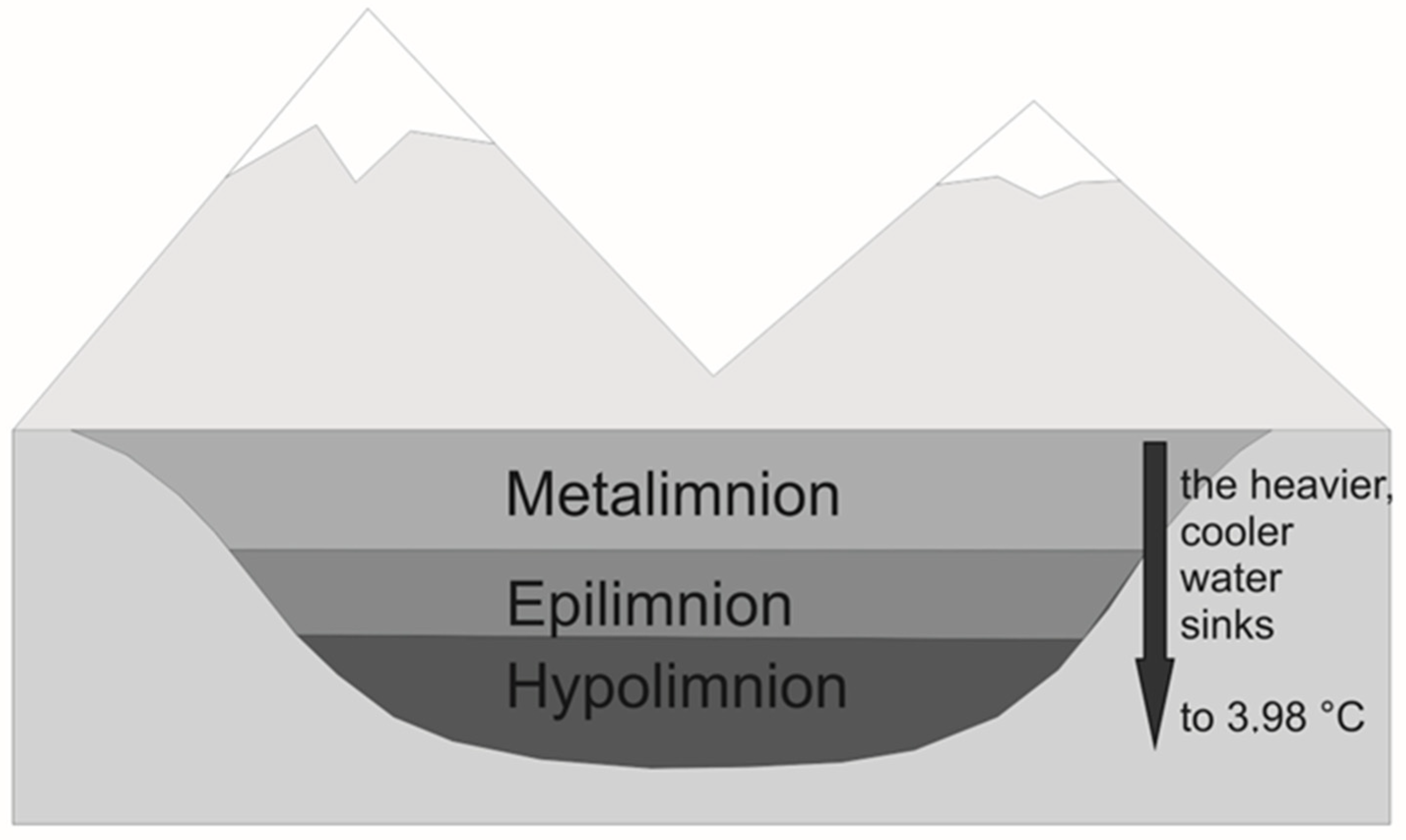 Sustainability 16 10020 g001