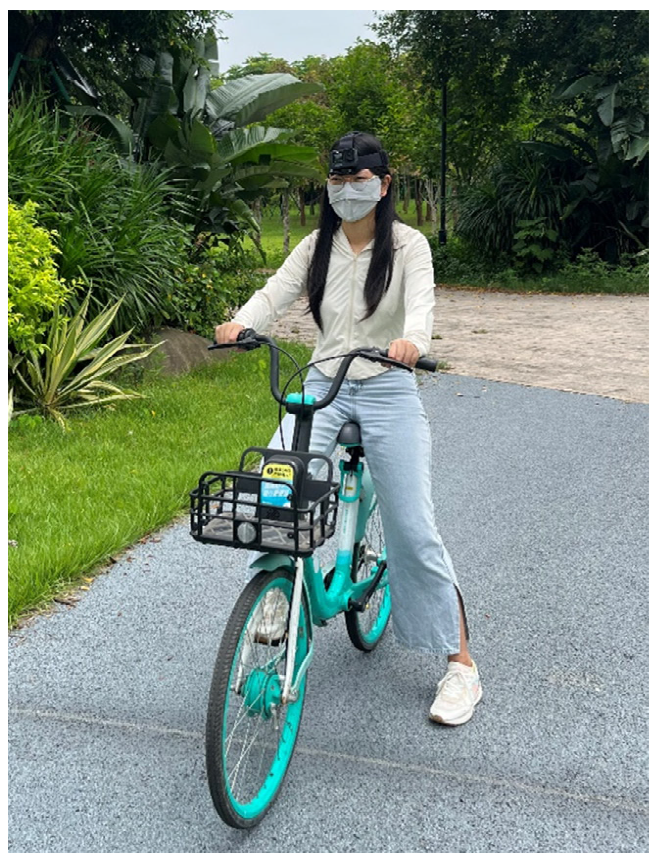 Sustainability 16 10038 g005