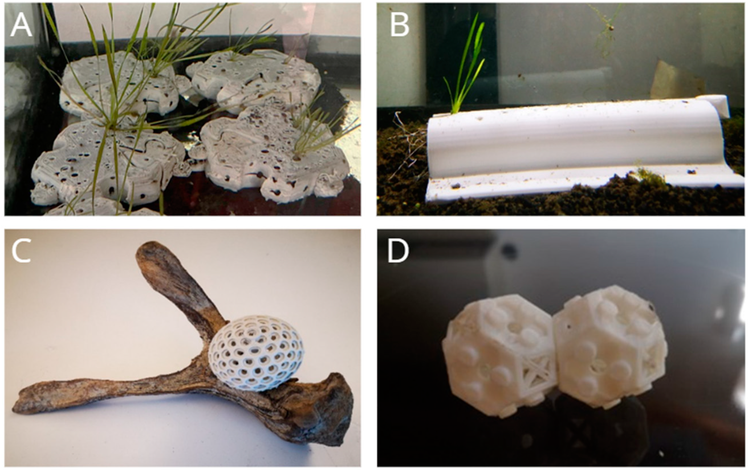 Sustainability 16 10048 g002