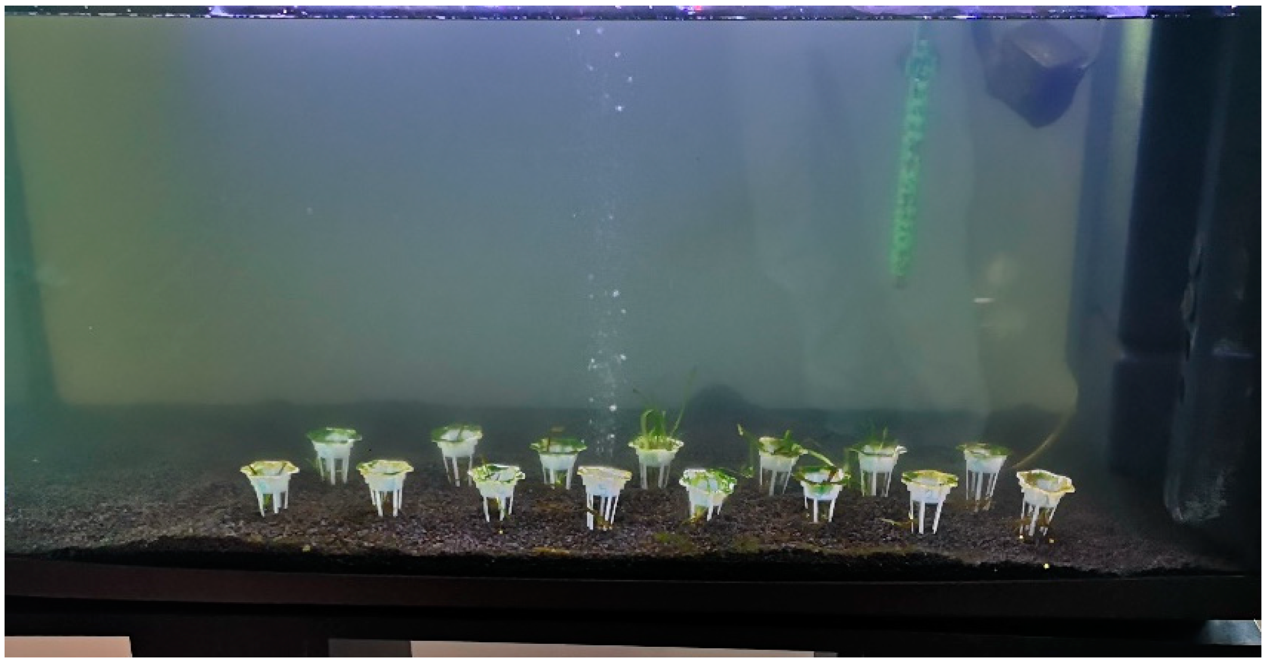 Sustainability 16 10048 g003