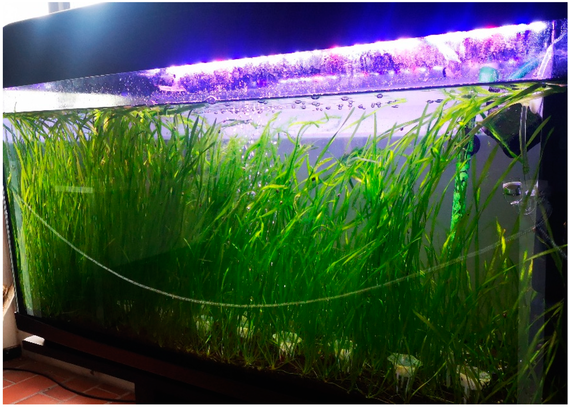 Sustainability 16 10048 g005