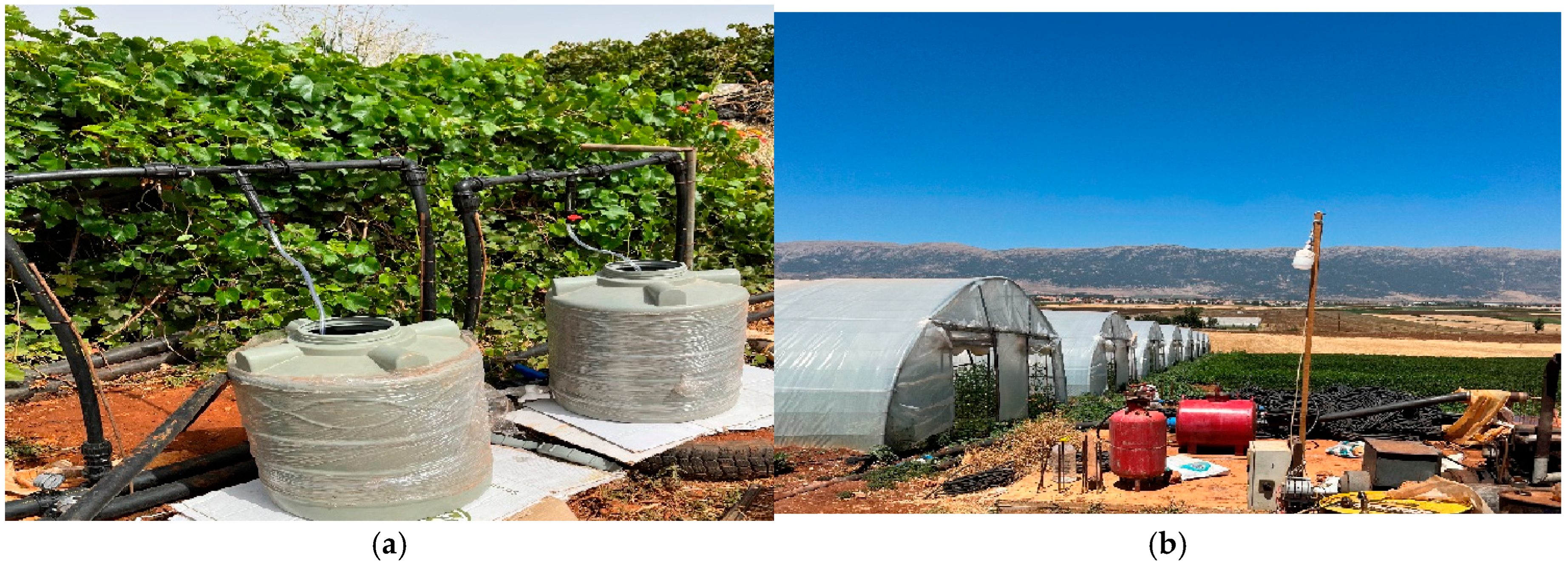 Sustainability 16 10050 g007