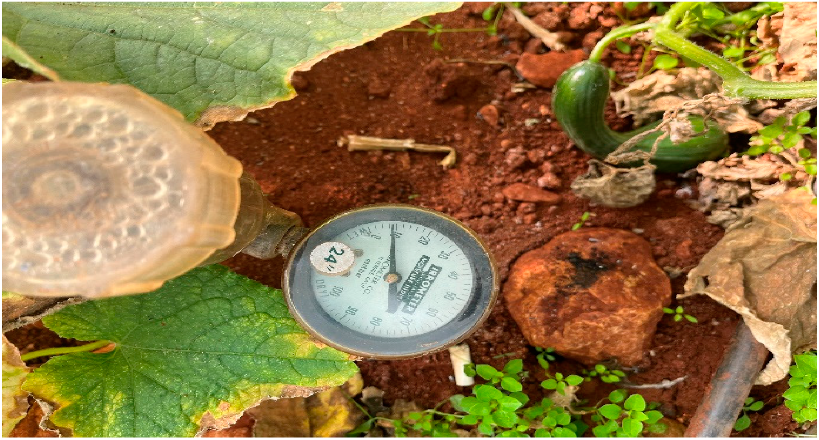 Sustainability 16 10050 g008