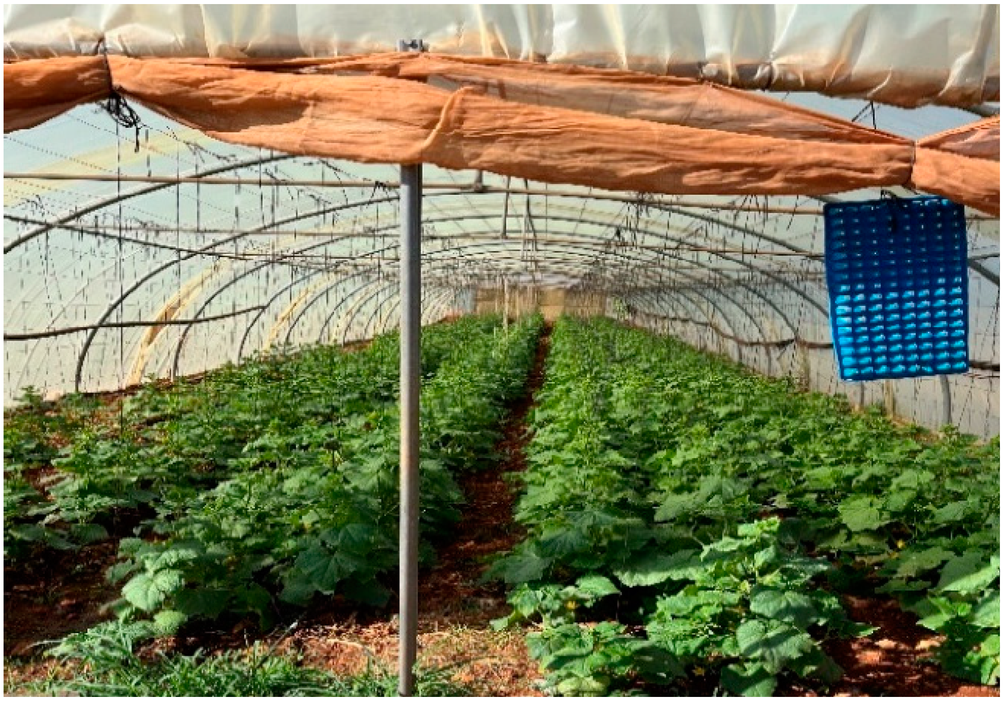 Sustainability 16 10050 g010