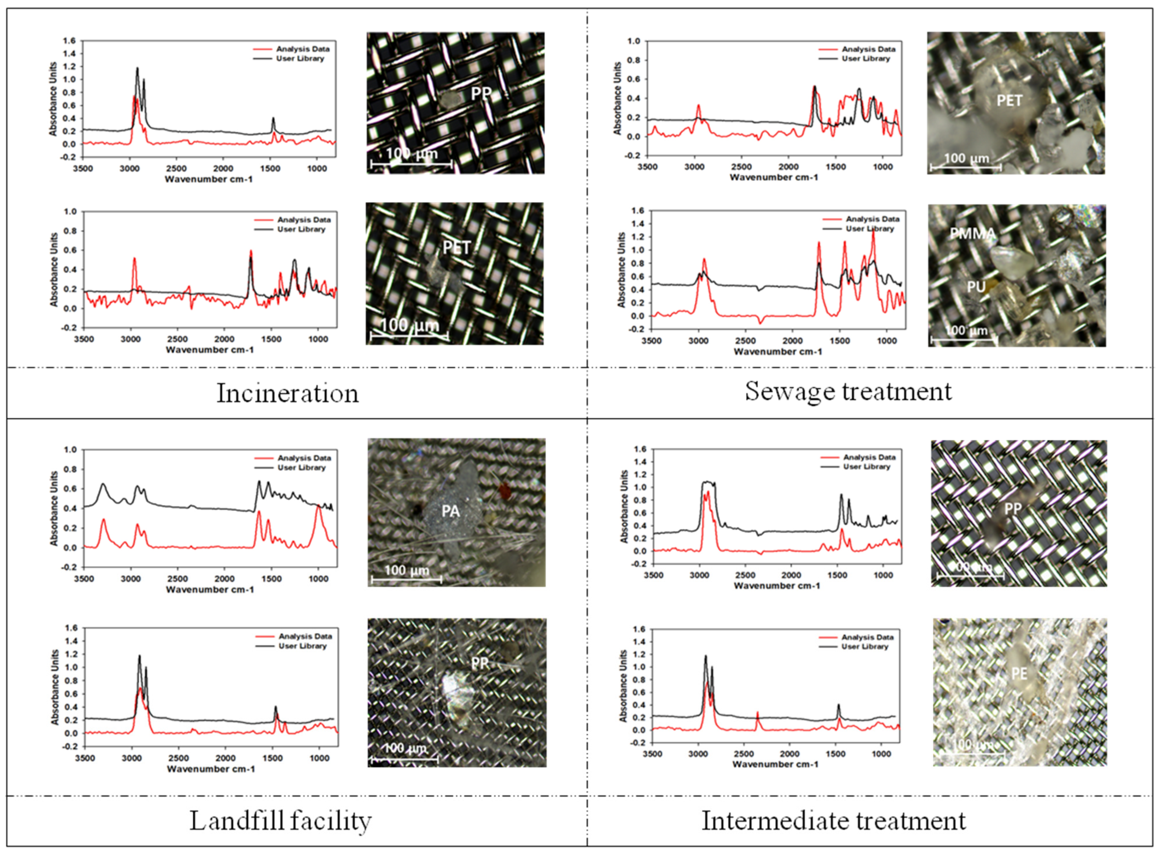 Sustainability 16 10054 g003