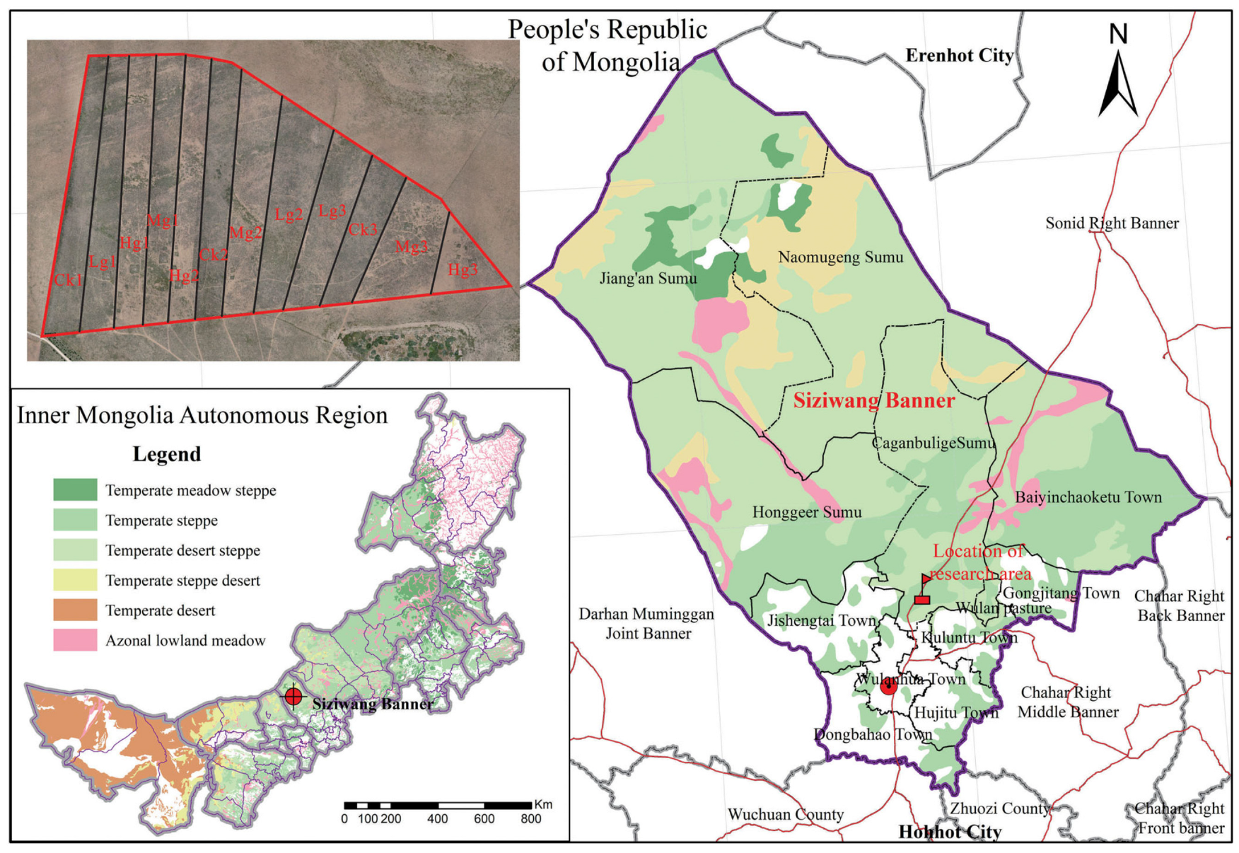 Sustainability 16 10059 g001