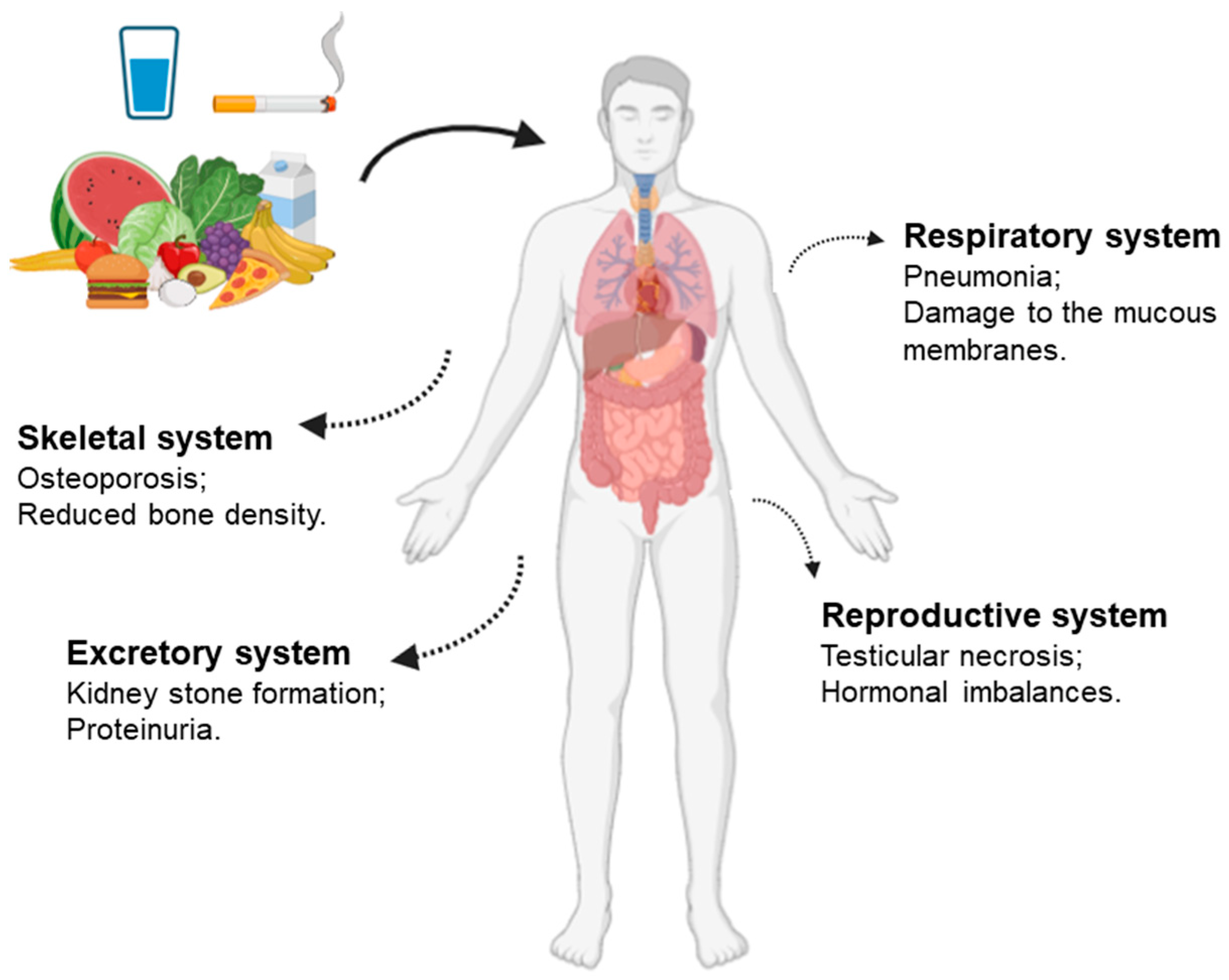 Sustainability 16 10072 g001
