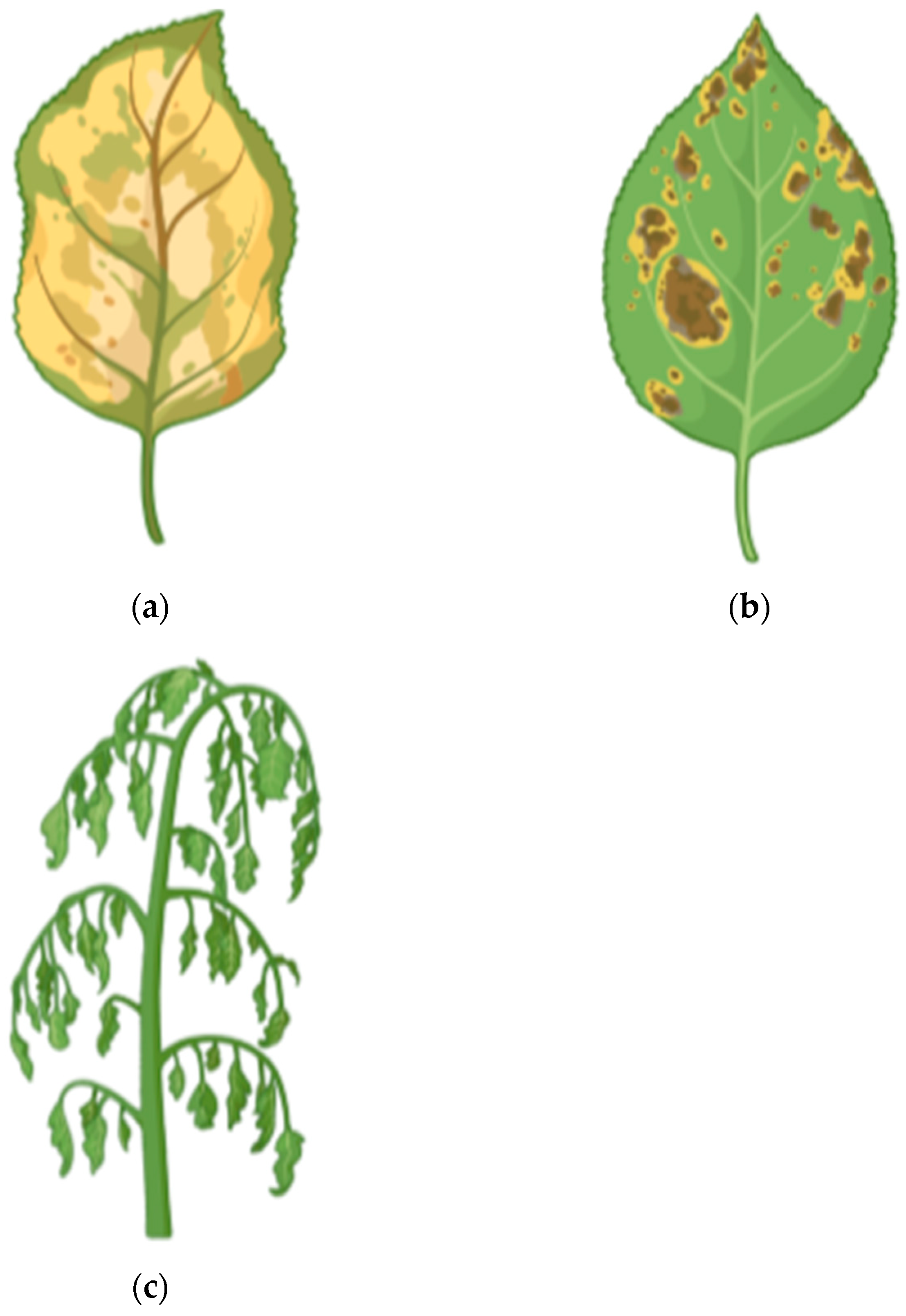 Sustainability 16 10072 g002