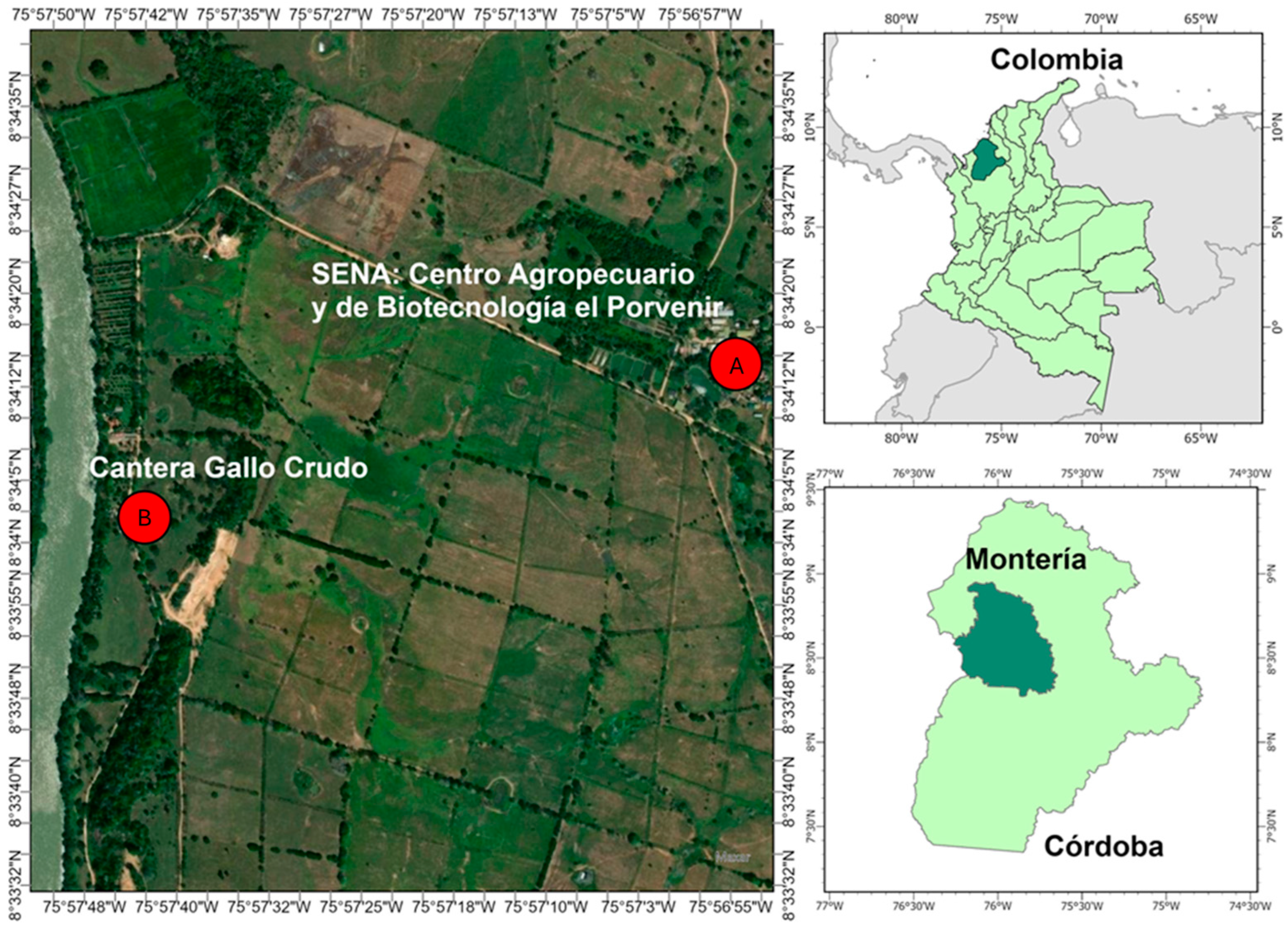Sustainability 16 10076 g001