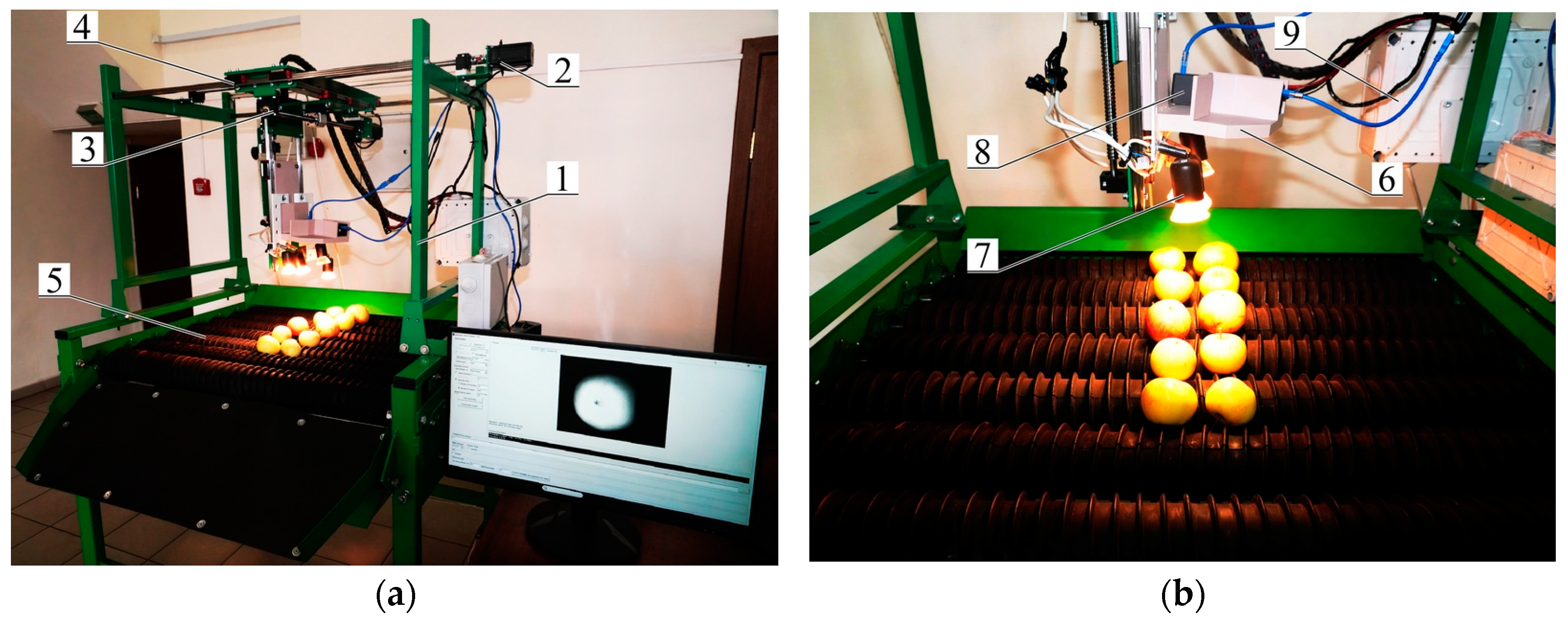 Sustainability 16 10084 g007