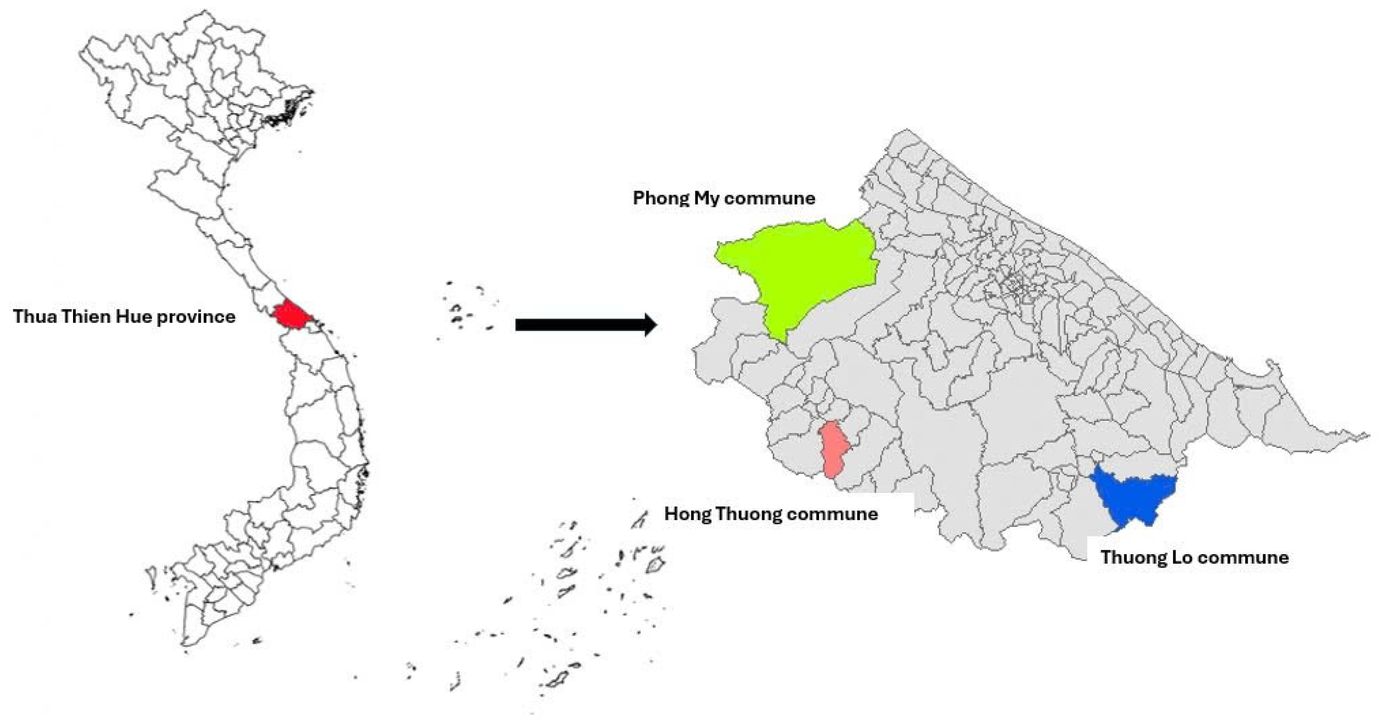 Sustainability 16 10094 g001