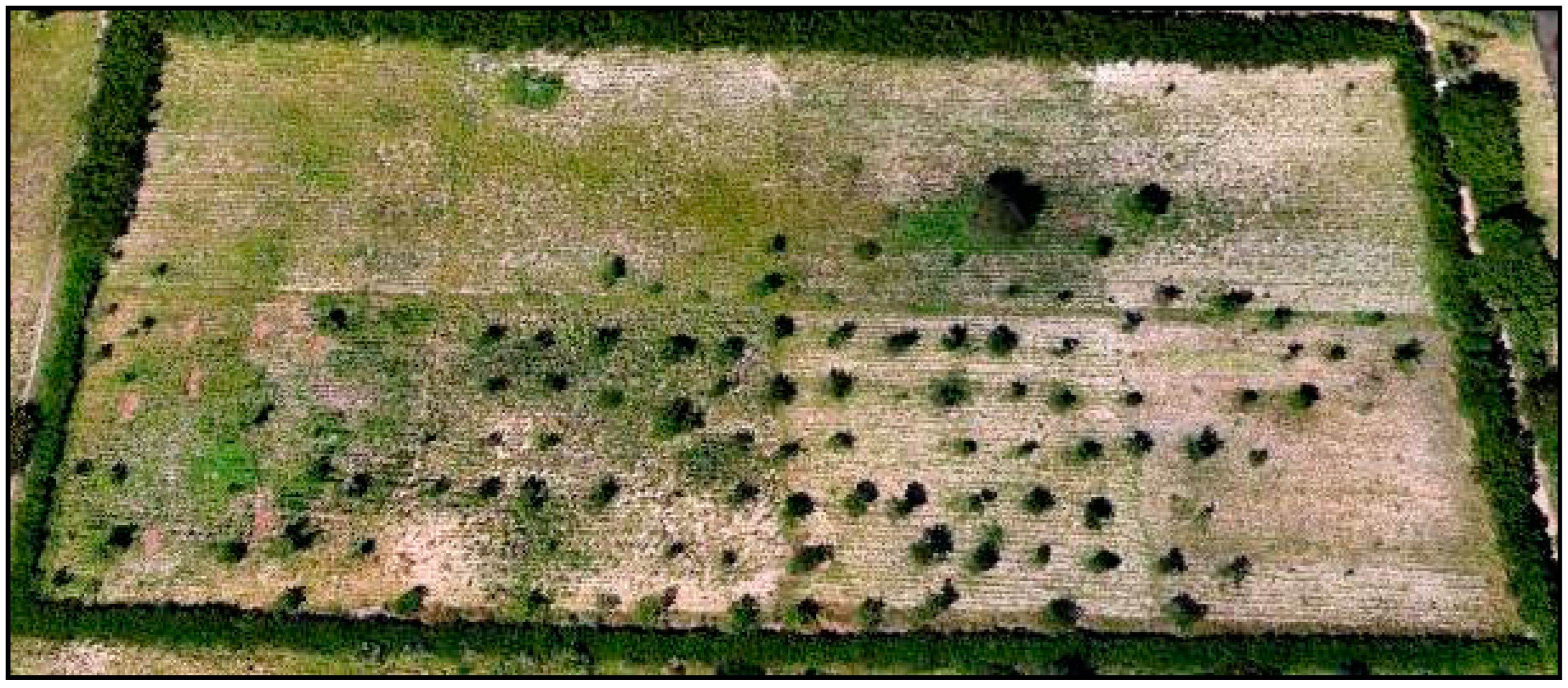 Sustainability 16 10096 g005