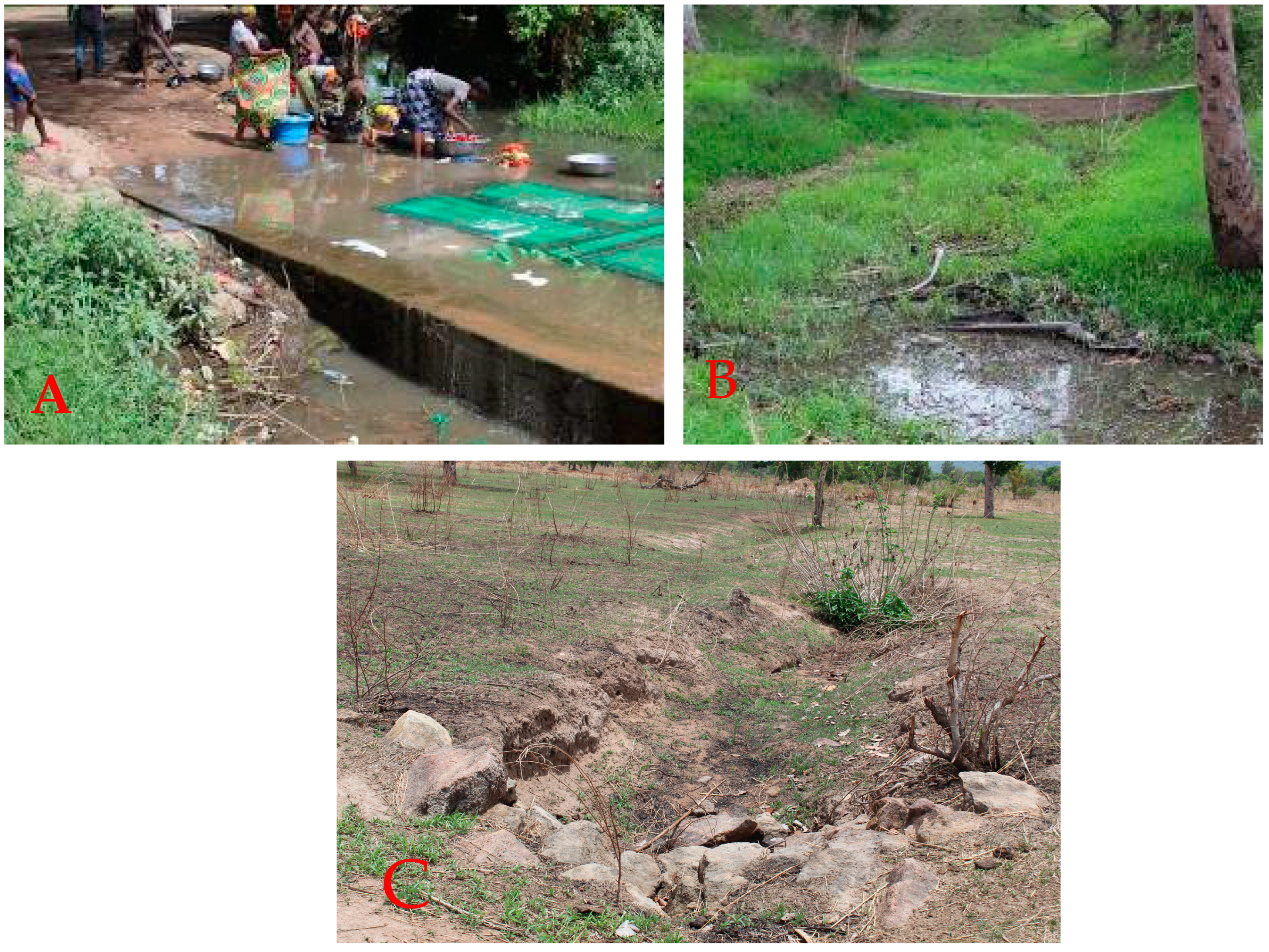 Sustainability 16 10096 g006