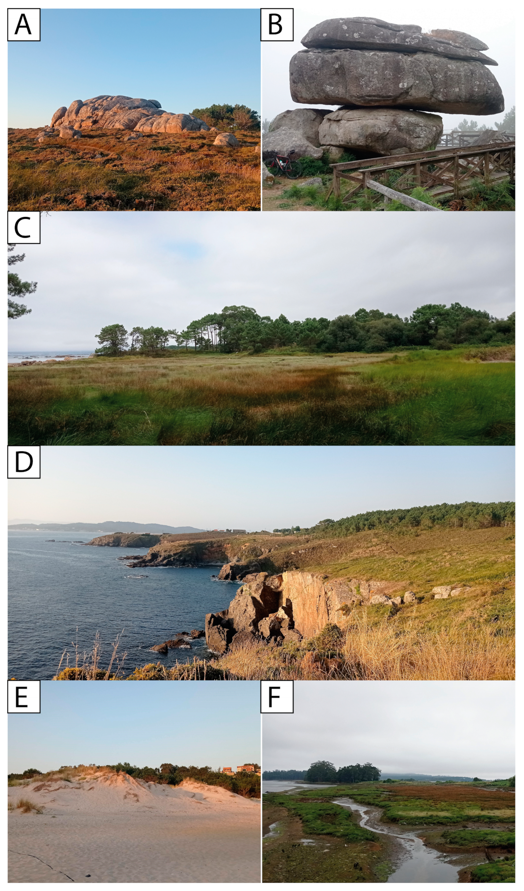 Sustainability 16 10101 g006