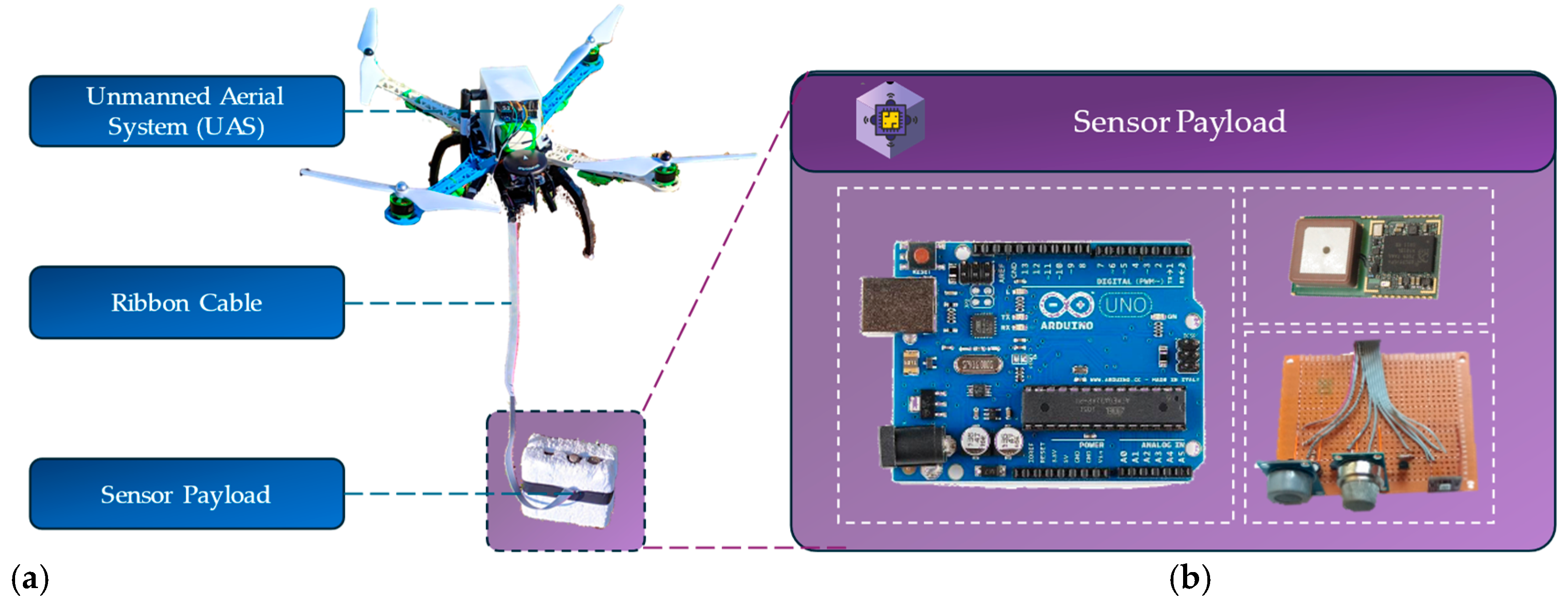 Sustainability 16 10108 g003
